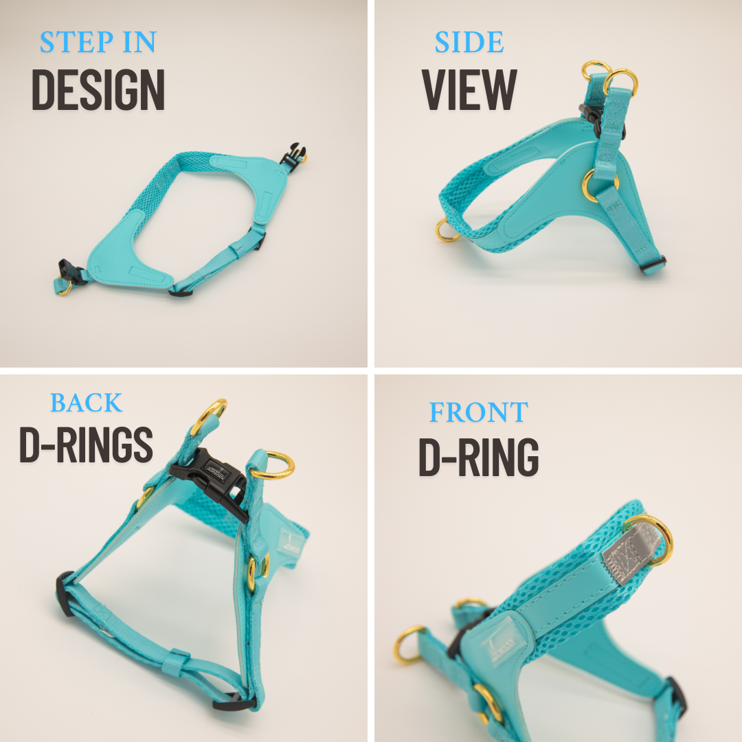 EASY-O STEP IN HARNESS - Vanilla Cream