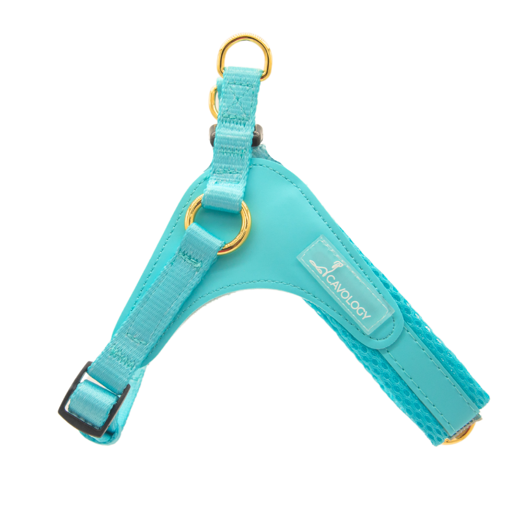 EASY-O STEP IN HARNESS - Teal