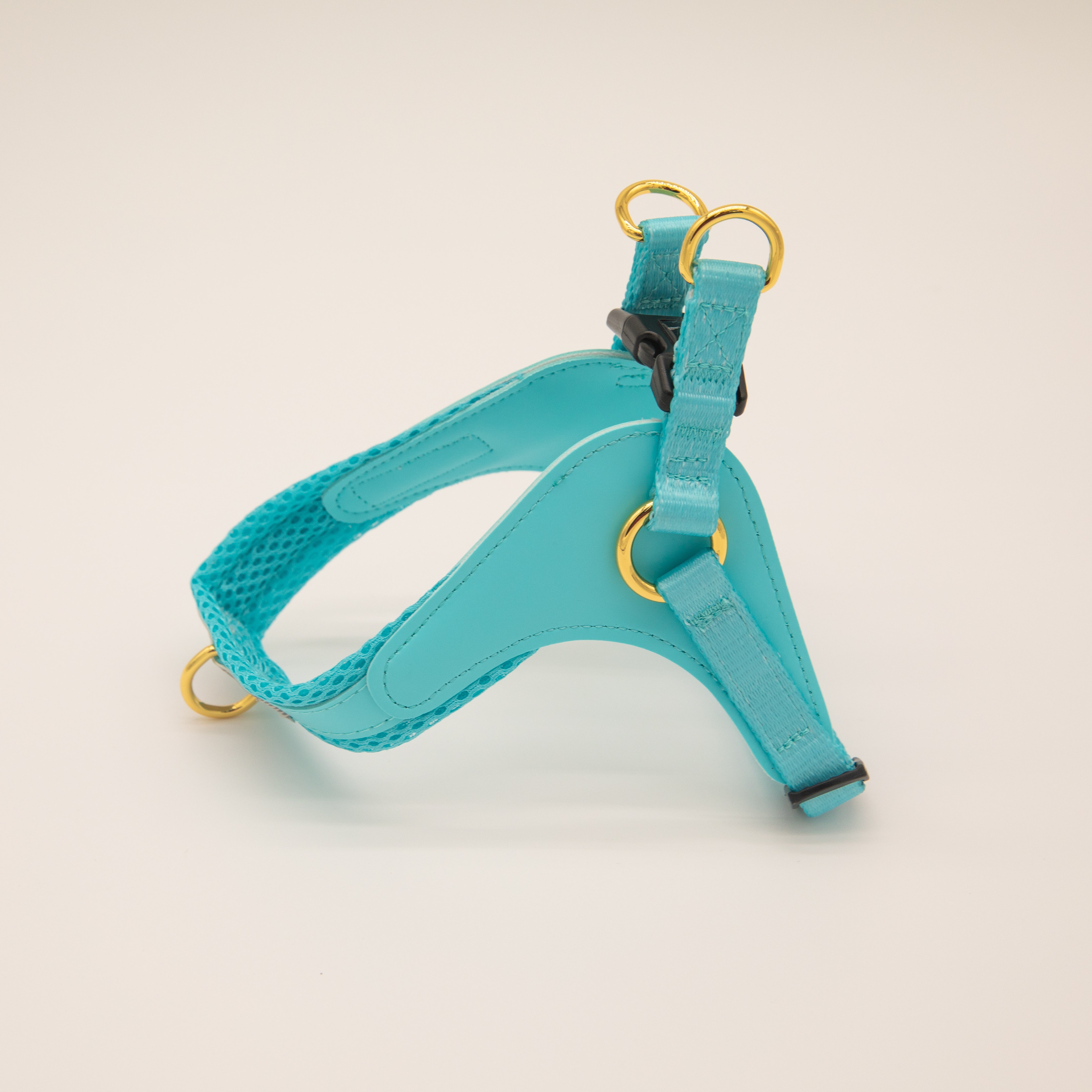 EASY-O STEP IN HARNESS - Teal