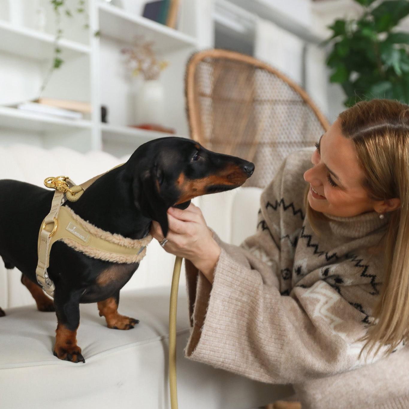 EASY-O STEP IN HARNESS - Beige Gold