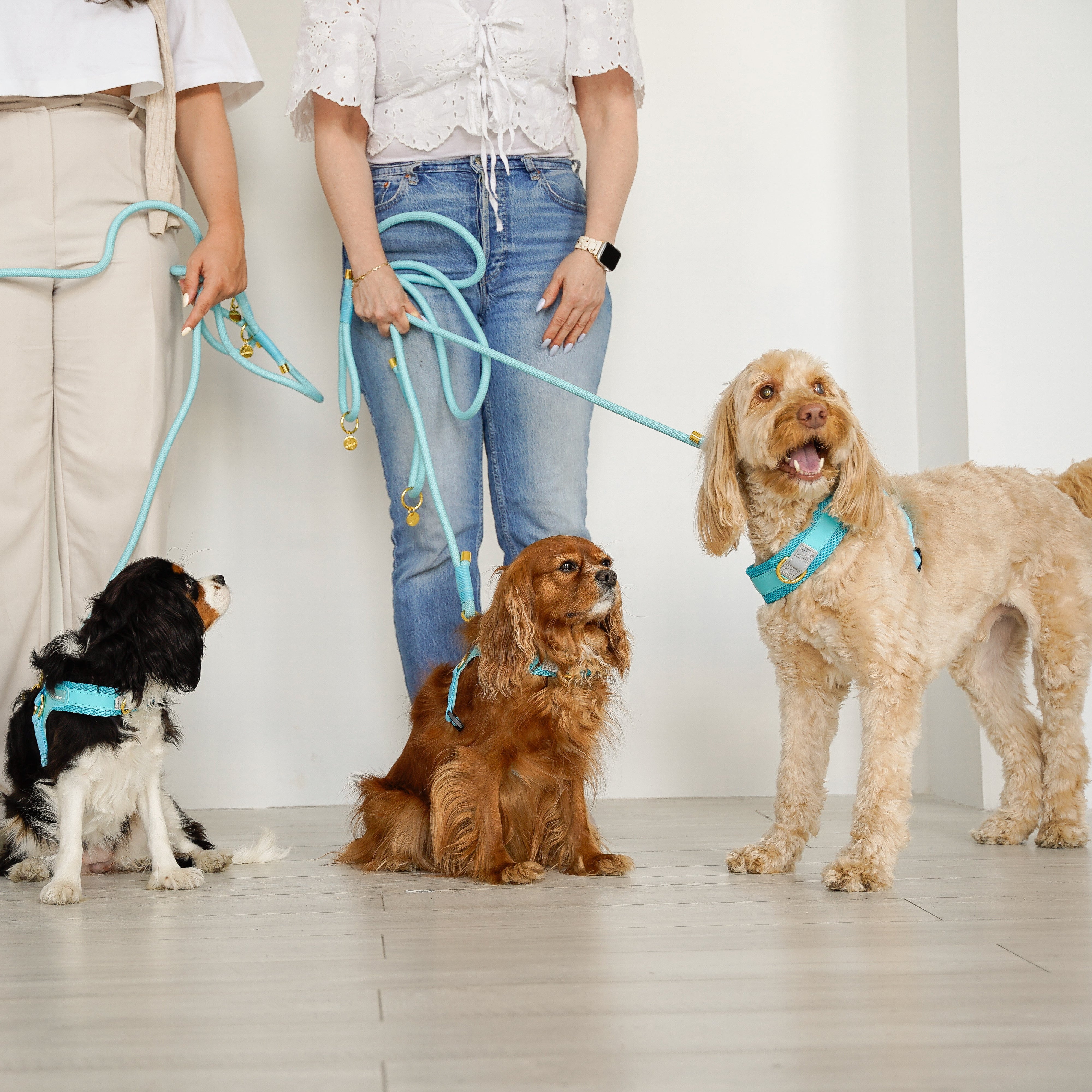 EASY-O STEP IN HARNESS - Teal