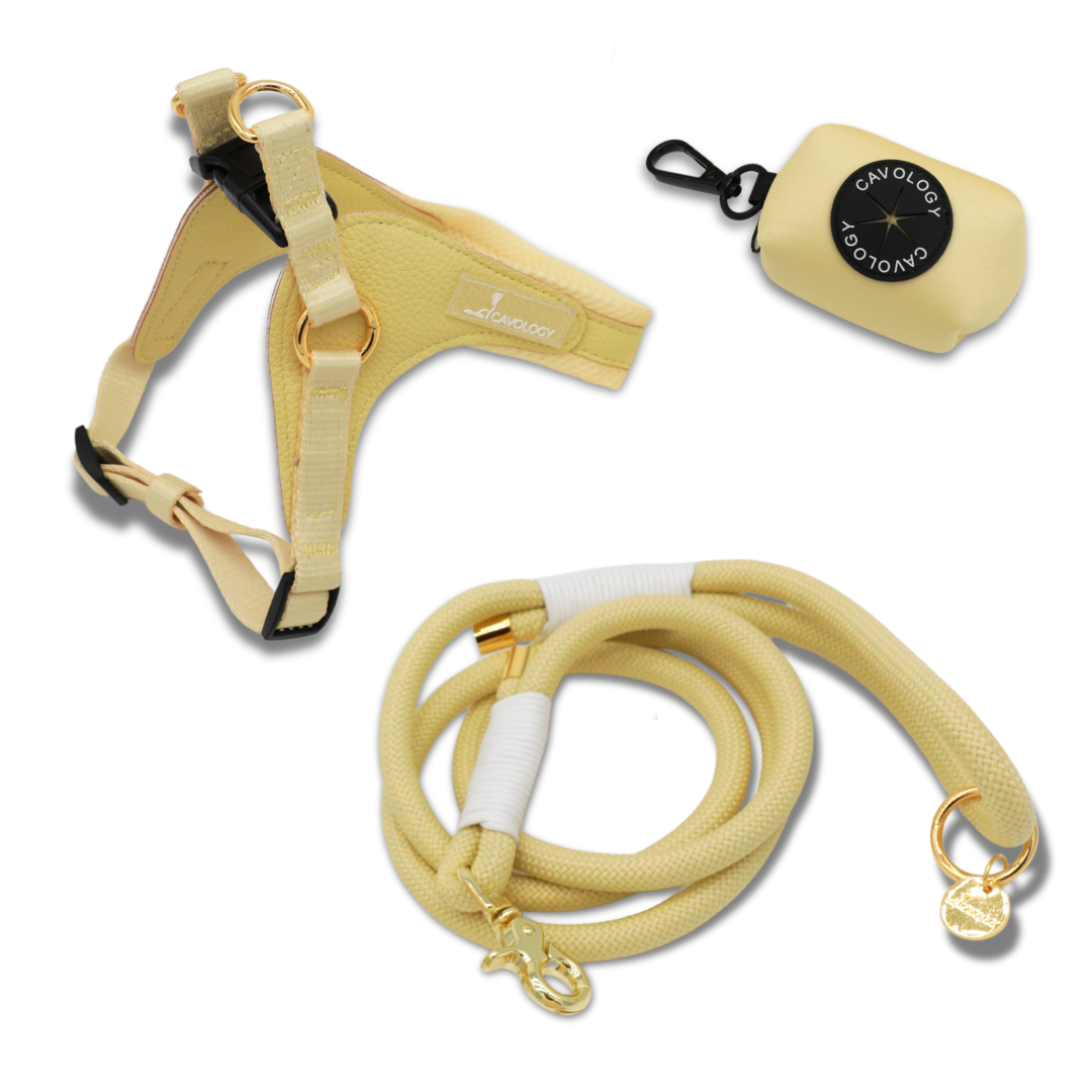 *PREORDER* BUNDLE - EASY-O STEP IN HARNESS BUTTER YELLOW