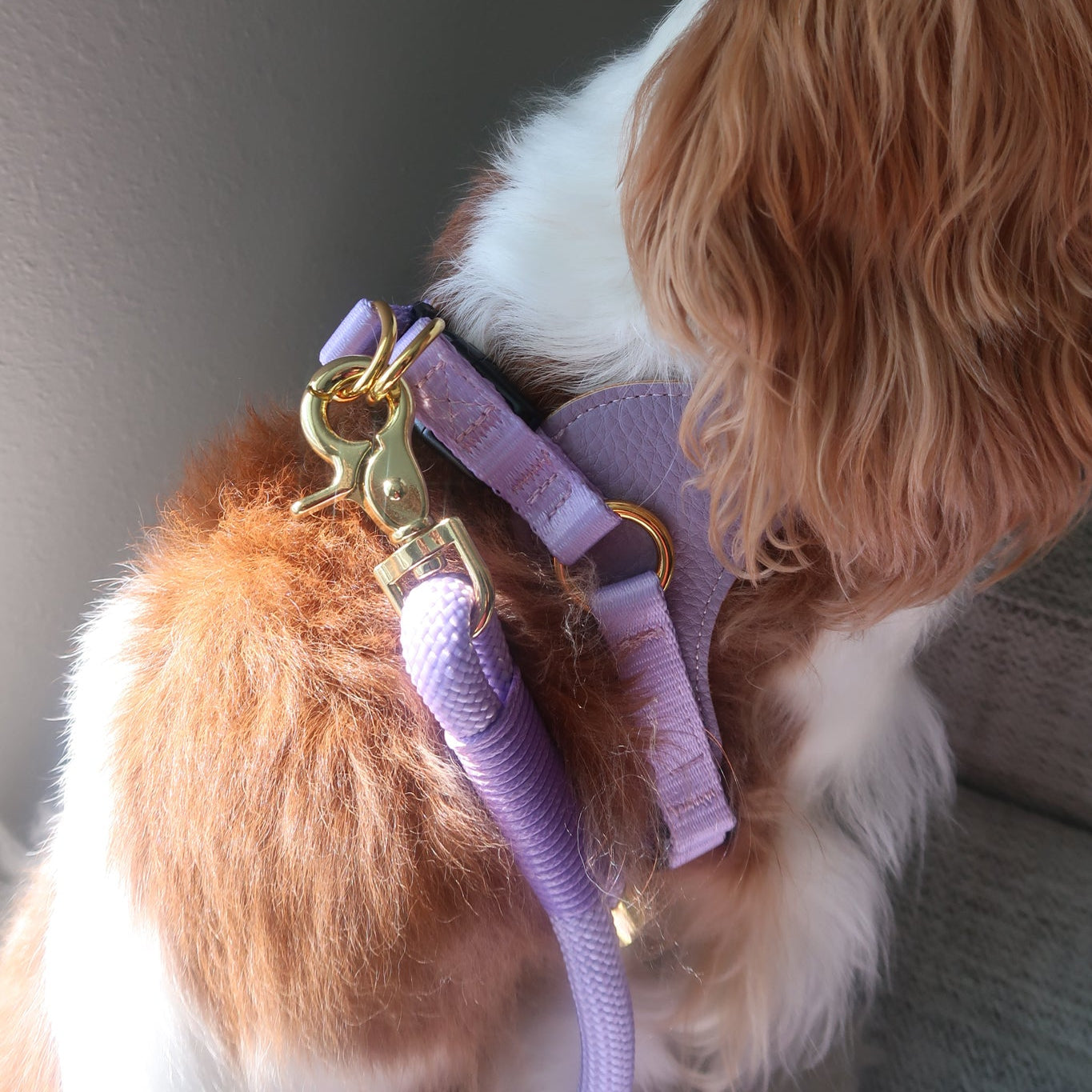 BUNDLE - EASY-O STEP IN HARNESS LAVENDER