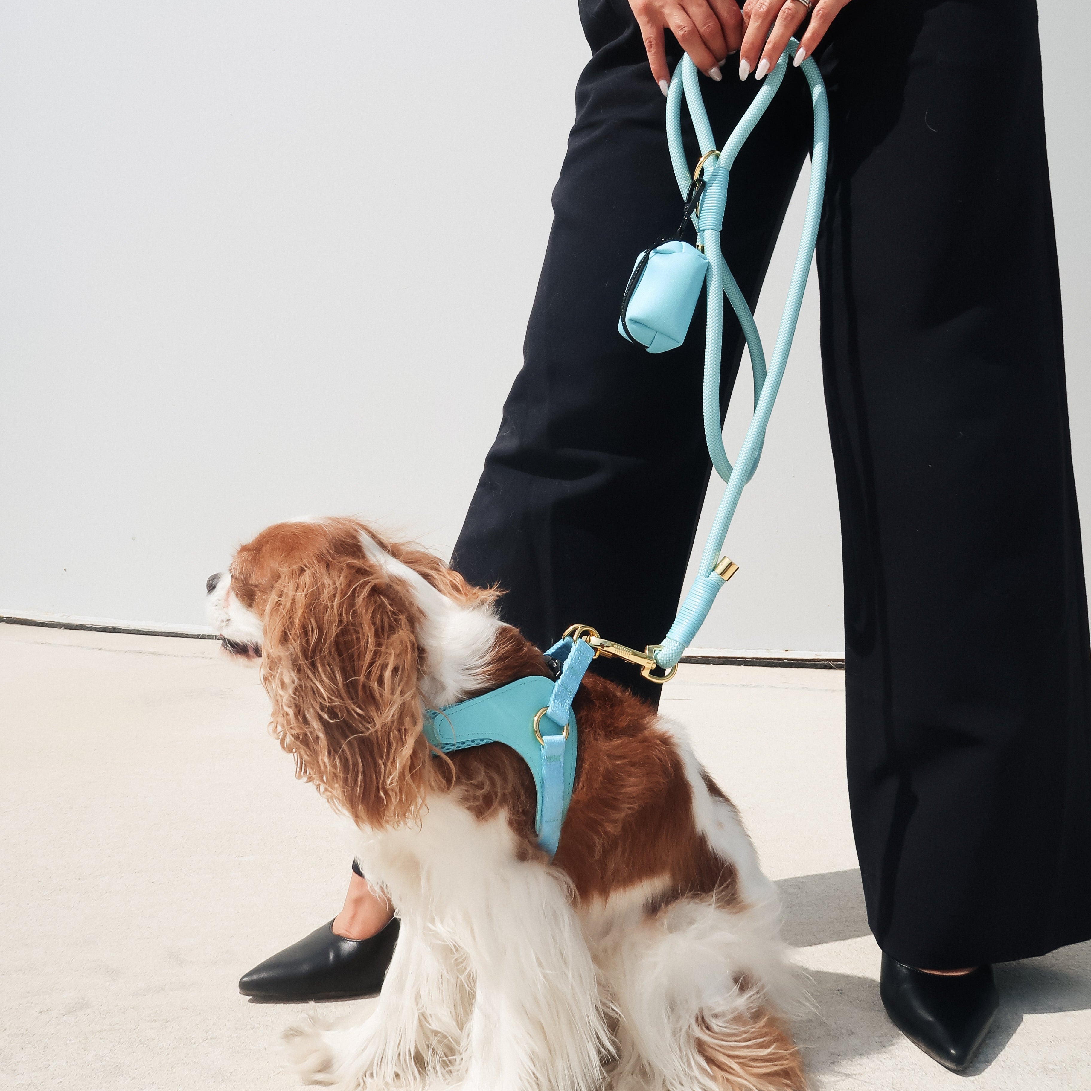 EASY-O STEP IN HARNESS - Teal