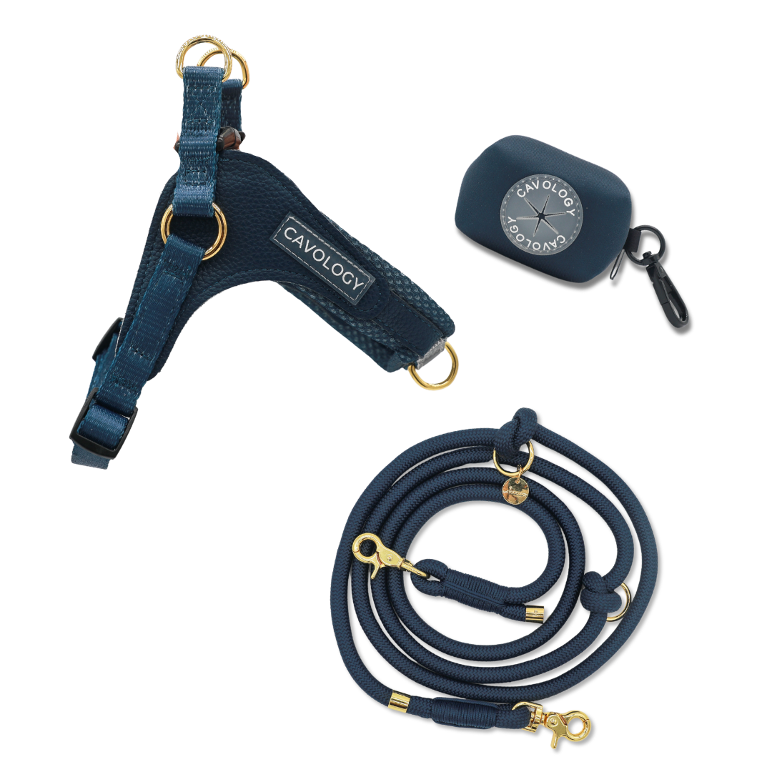 HANDS FREE BUNDLE - EASY-O STEP IN HARNESS Denim Blue