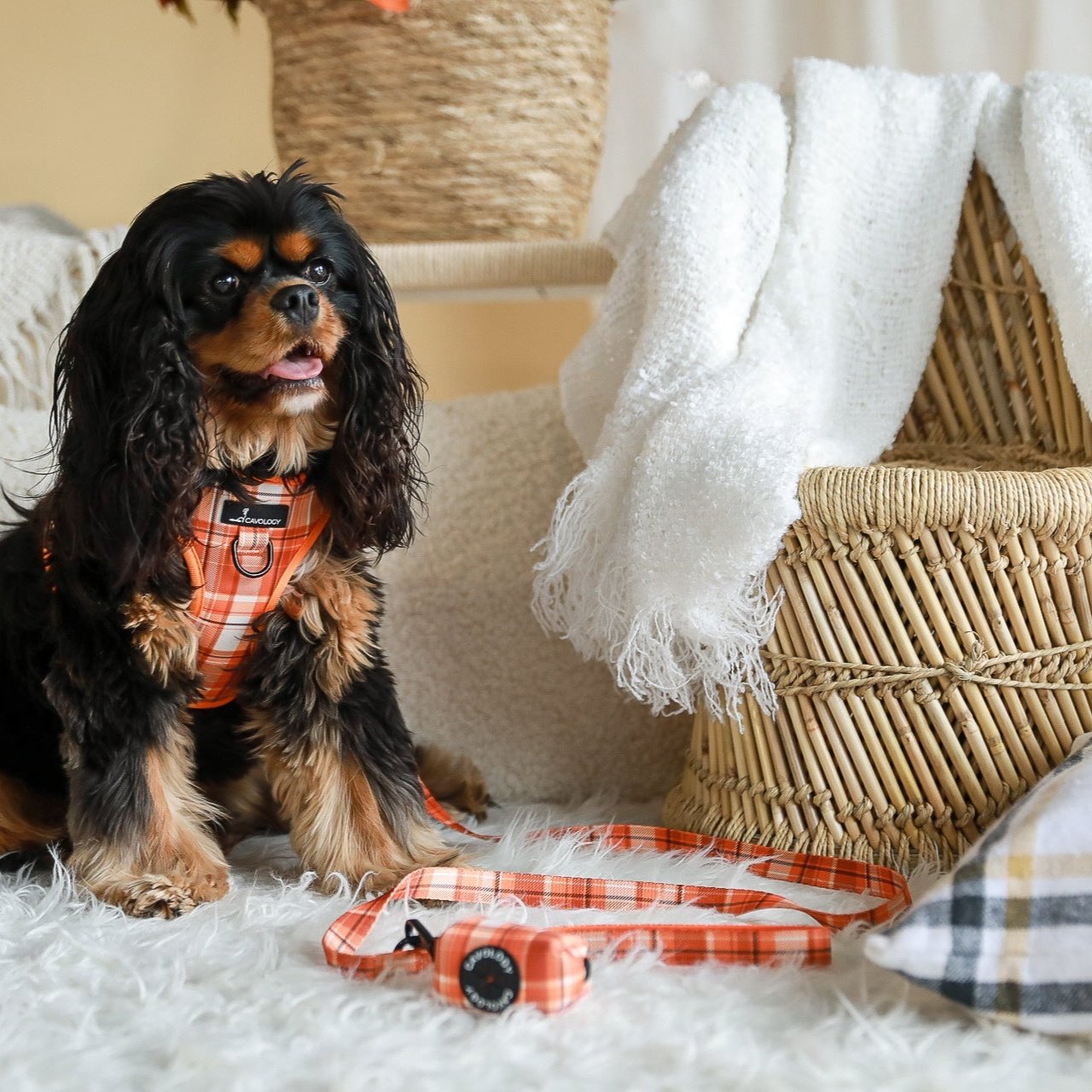 VEST STEP IN HARNESS - ORANGE PLAID Pumpkin Spice