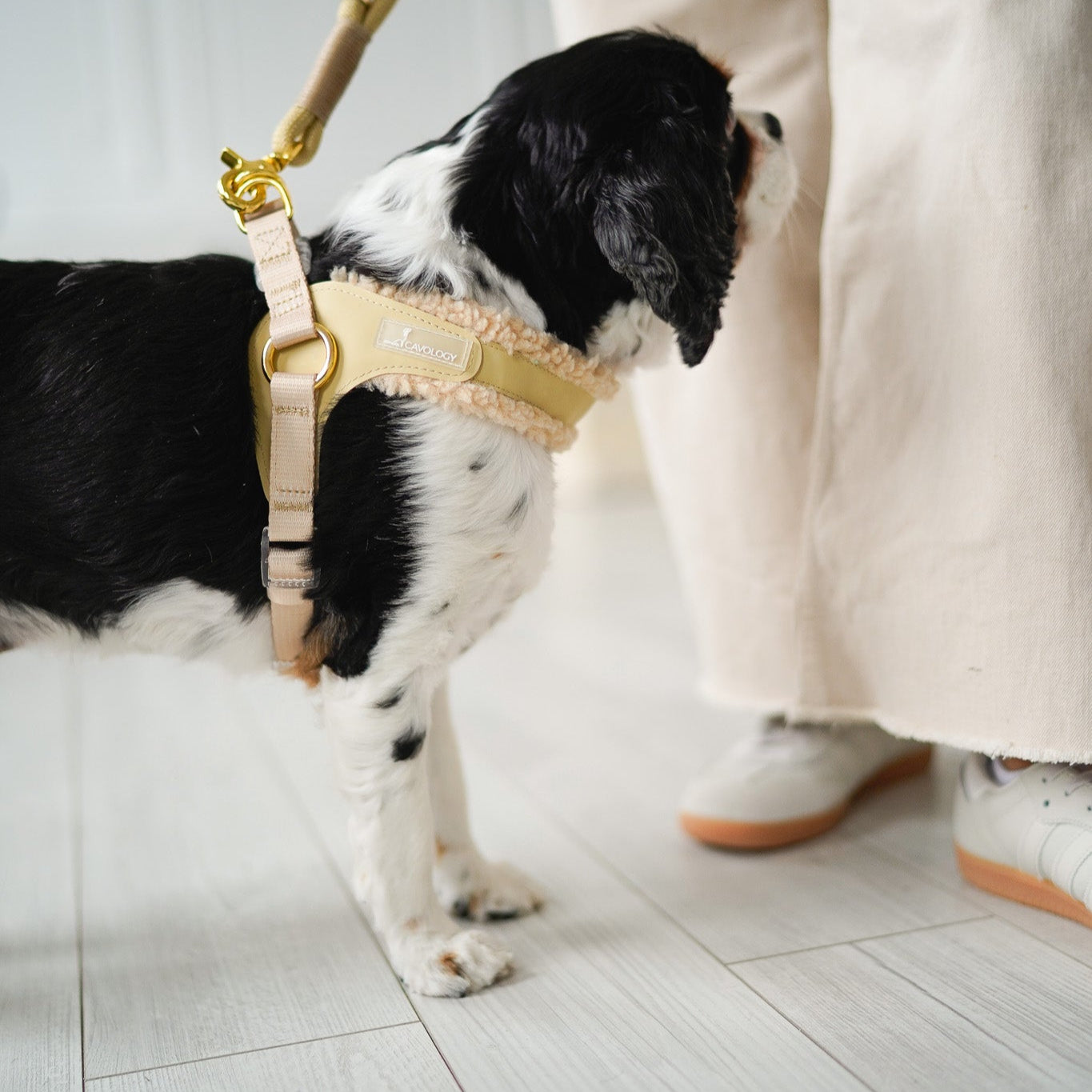 EASY-O STEP IN HARNESS - Beige Gold