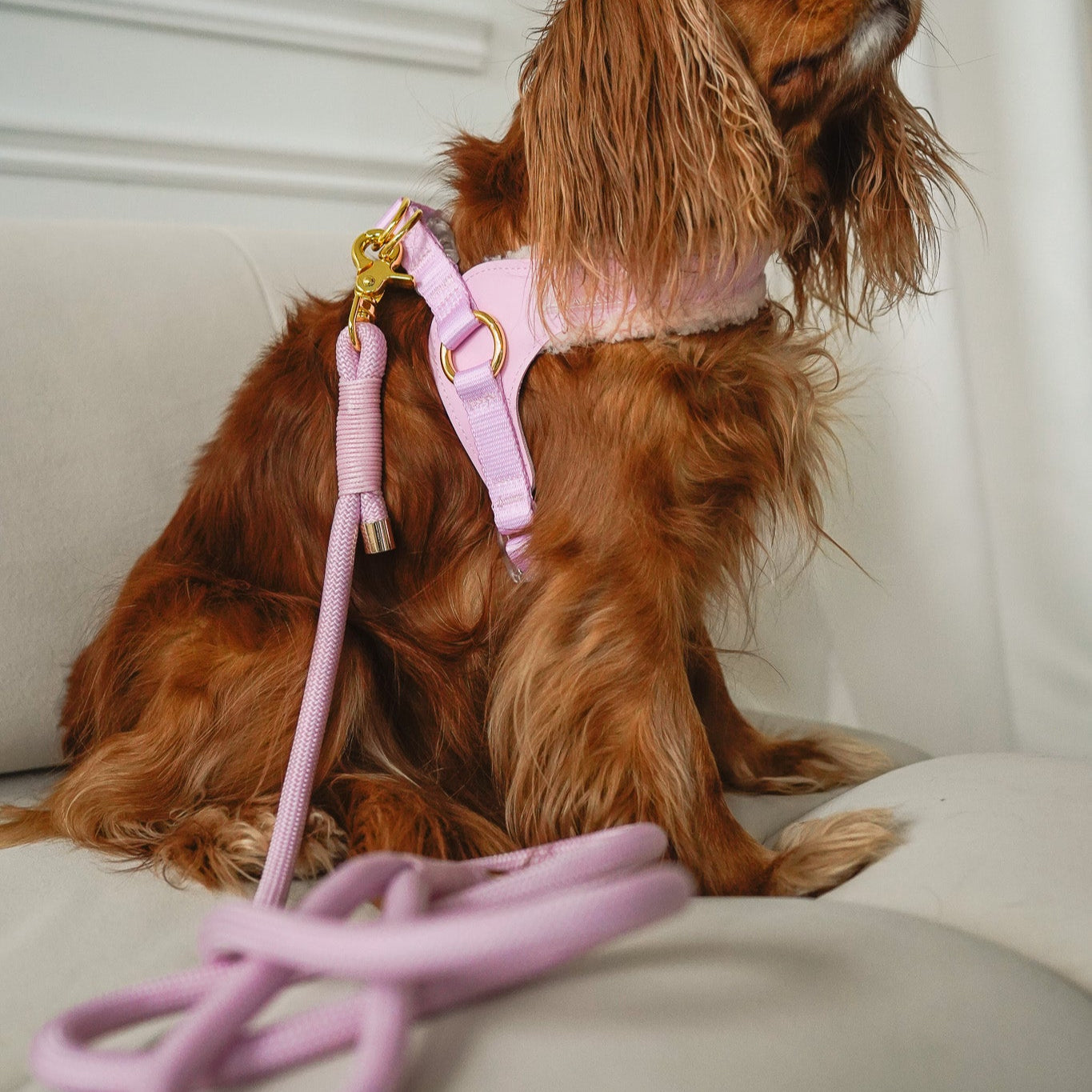 EASY-O STEP IN HARNESS - Pink Sherpa