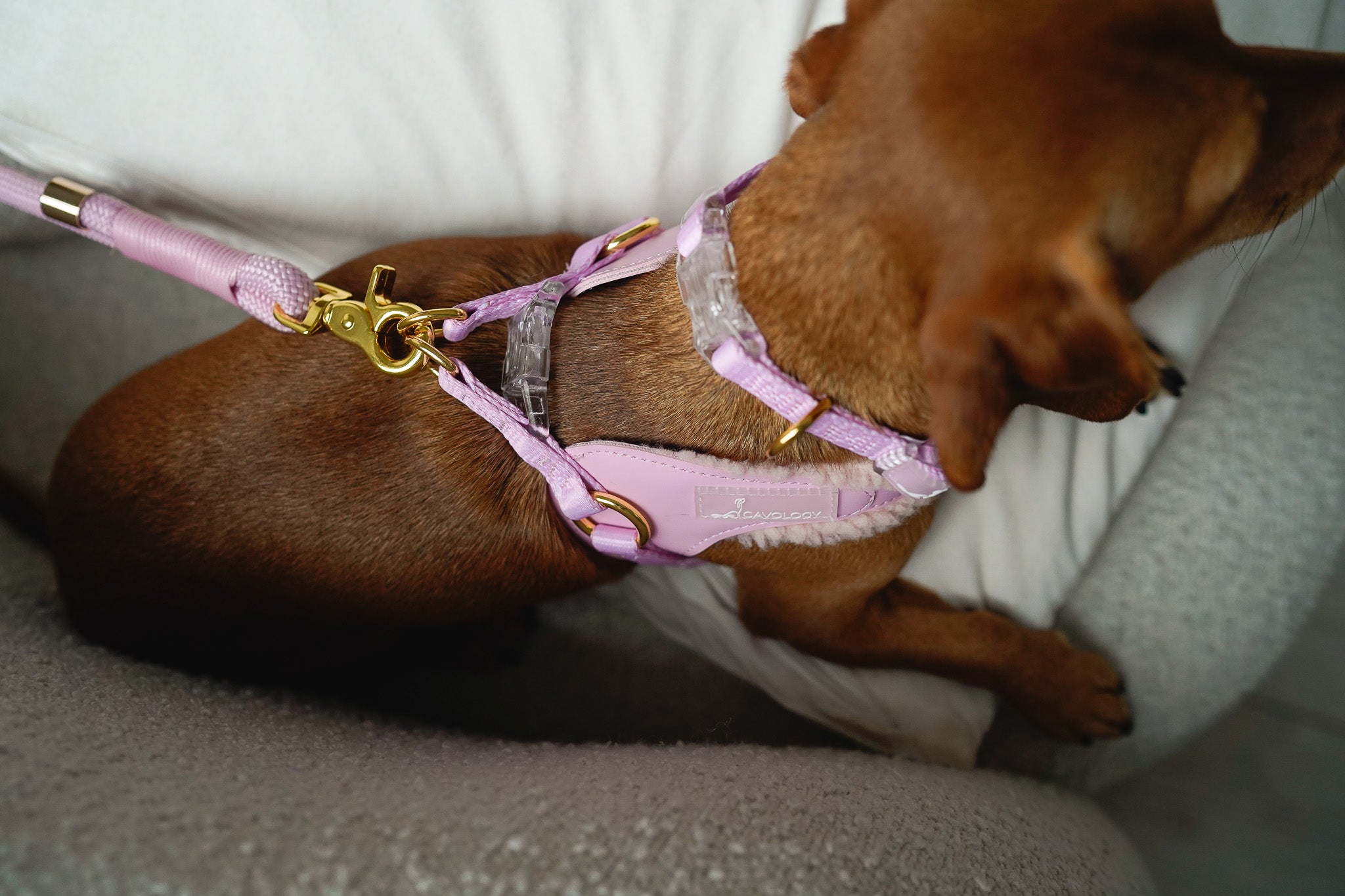 COLLAR - EVERYDAY PINK