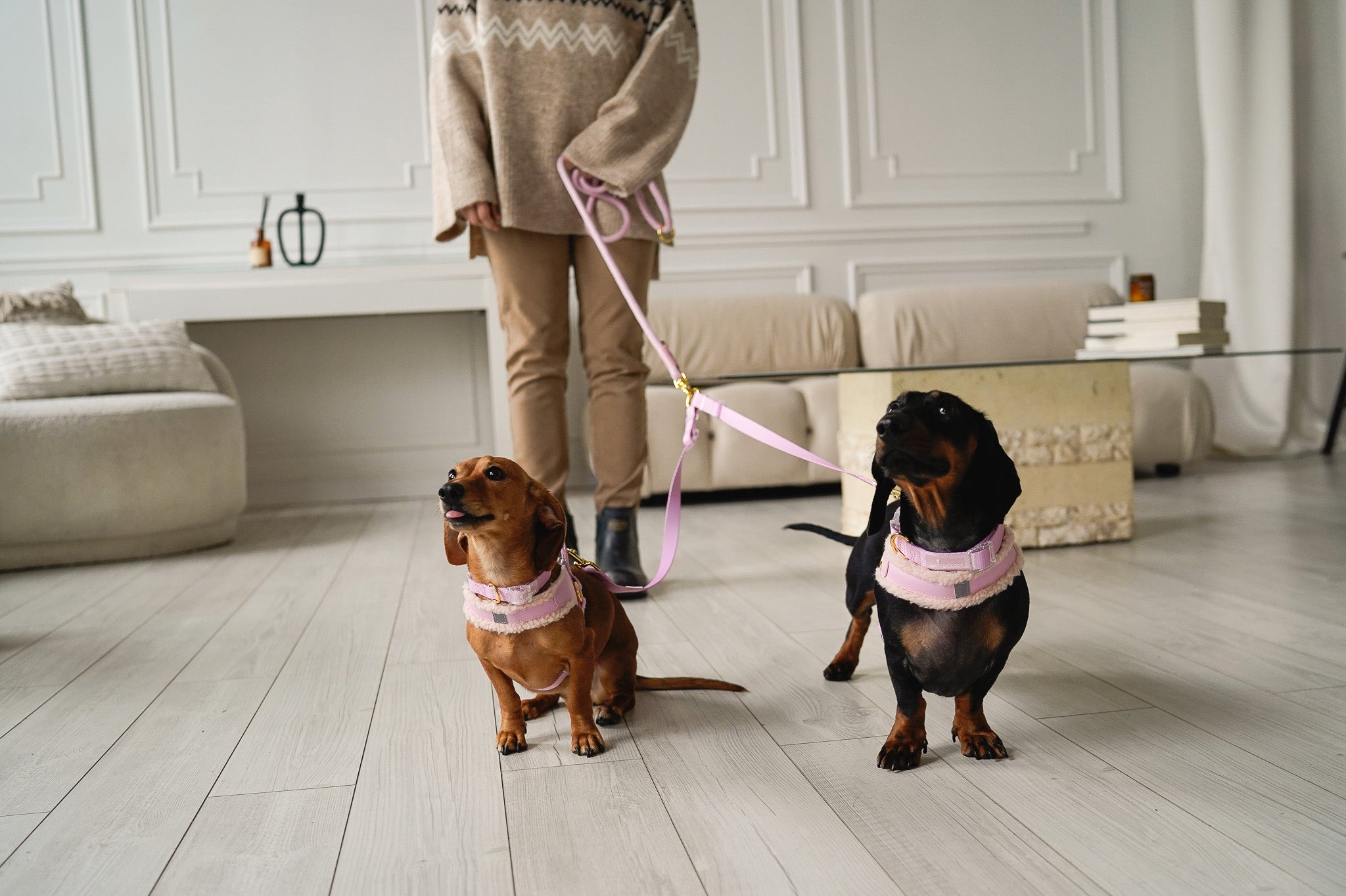 DOG LEASH COUPLER SPLITTER - PINK