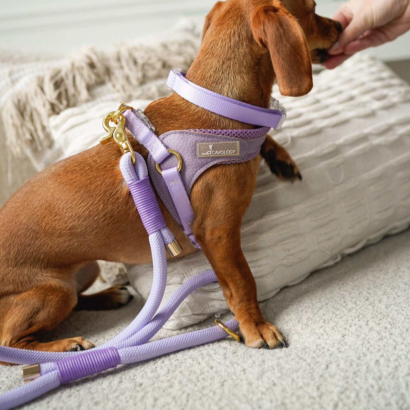 BRAIDED ROPE LEASH - LAVENDER