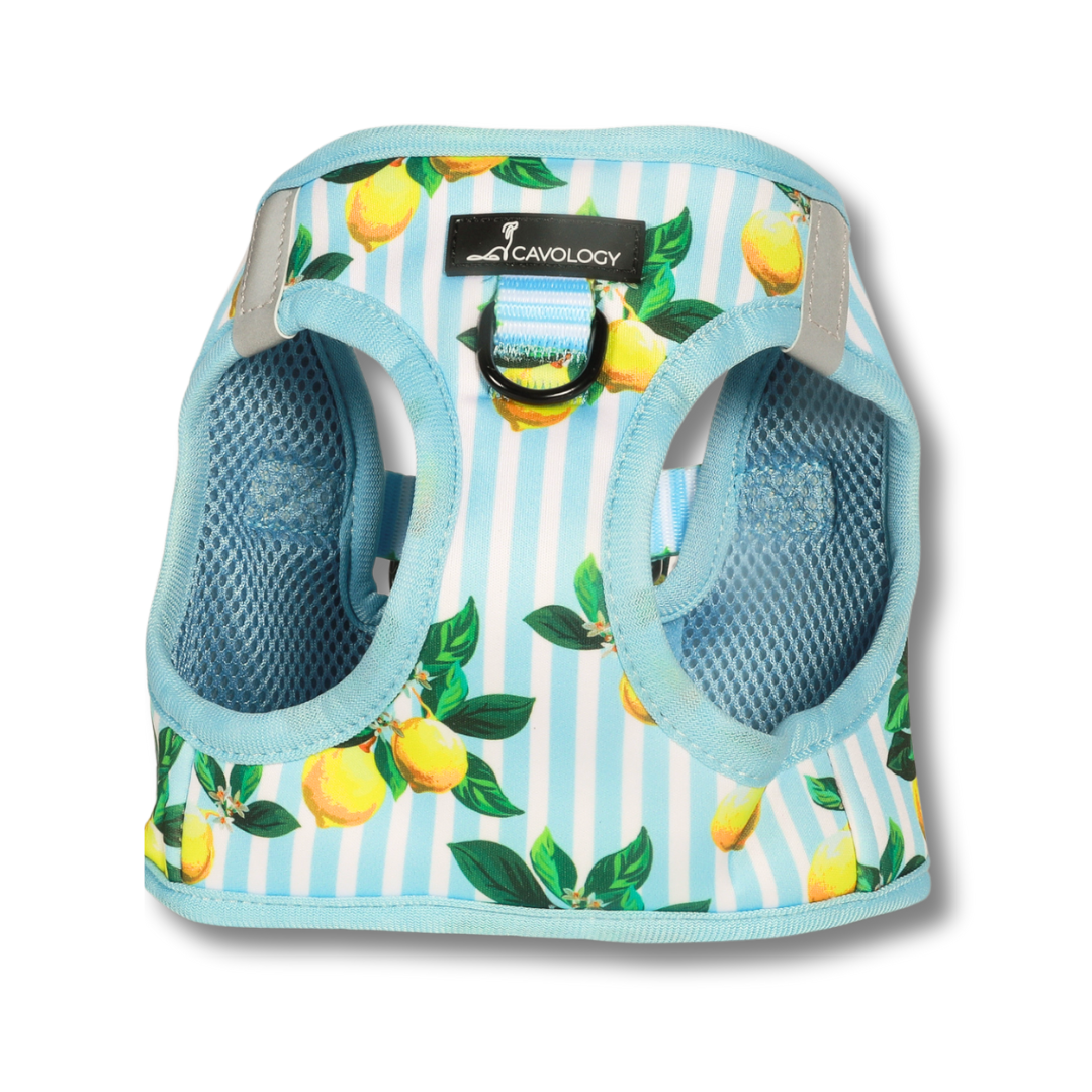 VEST STEP IN HARNESS - Limoncello Lemons