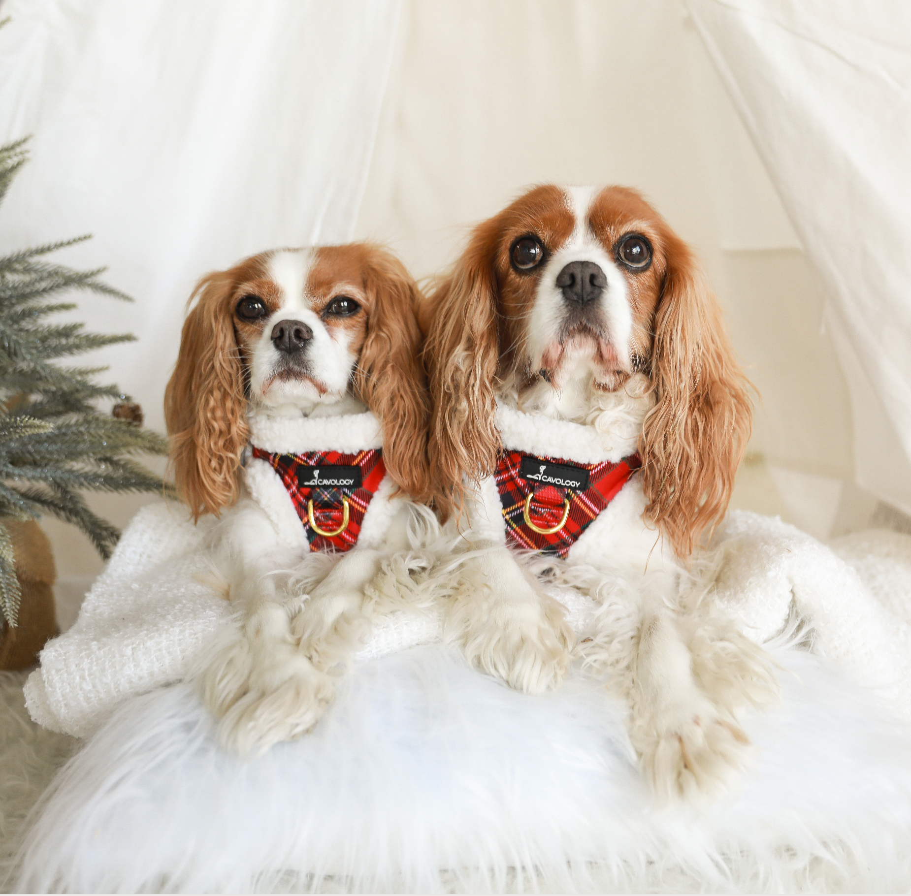 VEST STEP IN HARNESS - Red Plaid Tartan Sherpa Winter Wonderland