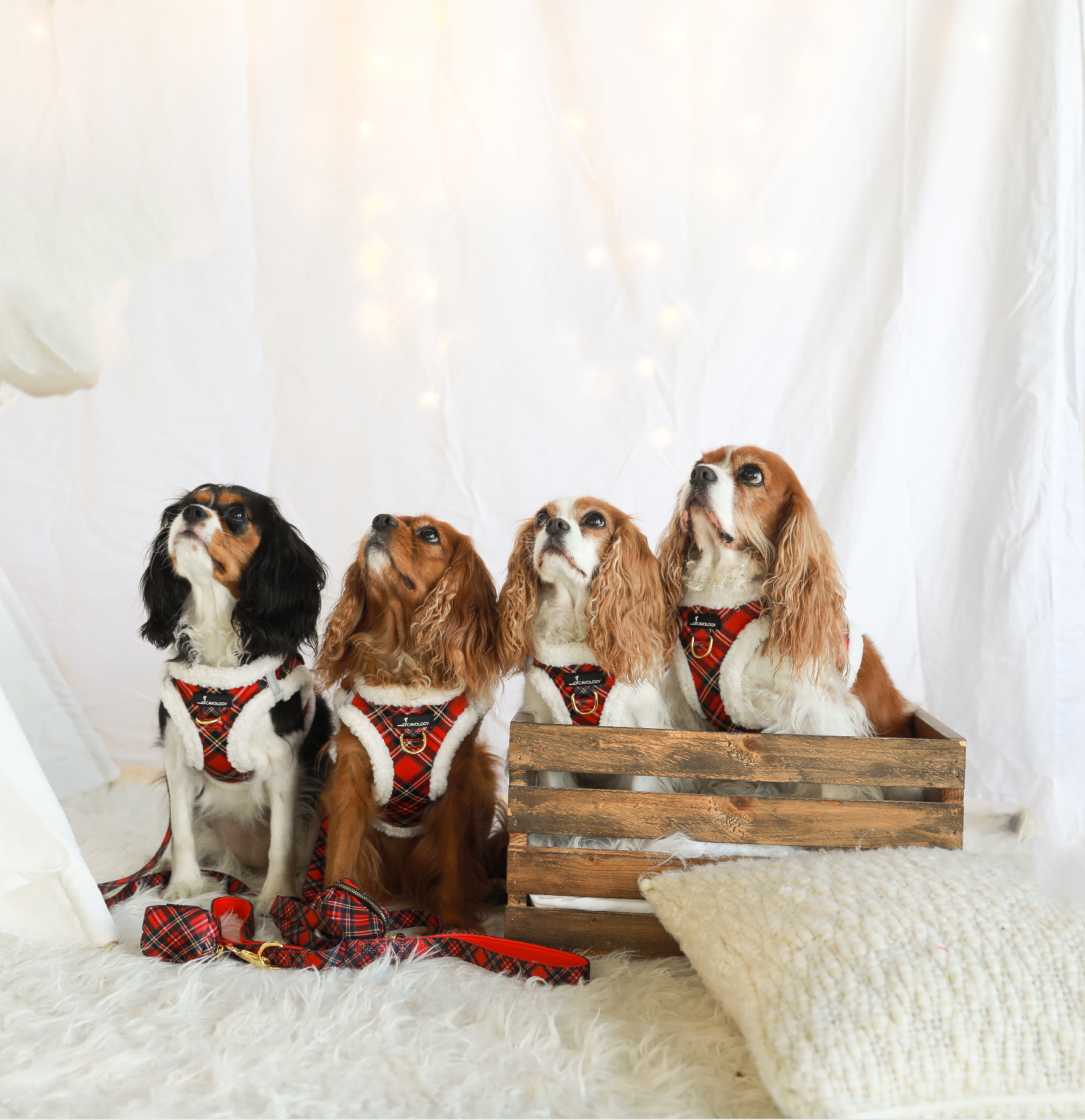 VEST STEP IN HARNESS - Red Plaid Tartan Sherpa Winter Wonderland