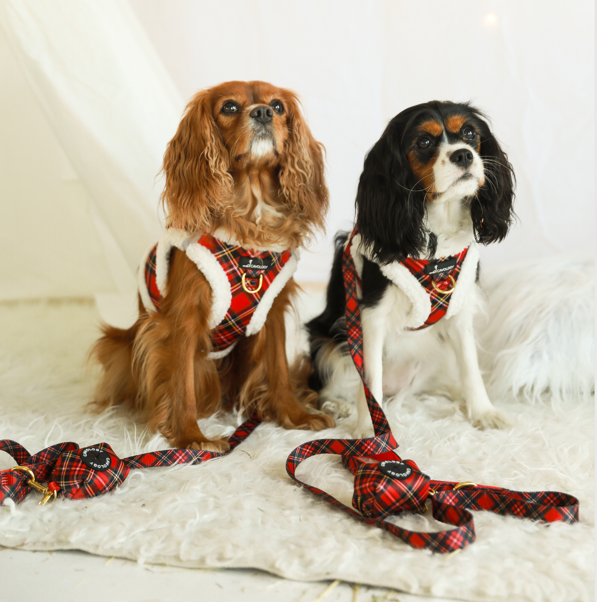 LEASH - Red Plaid Tartan Winter Wonderland