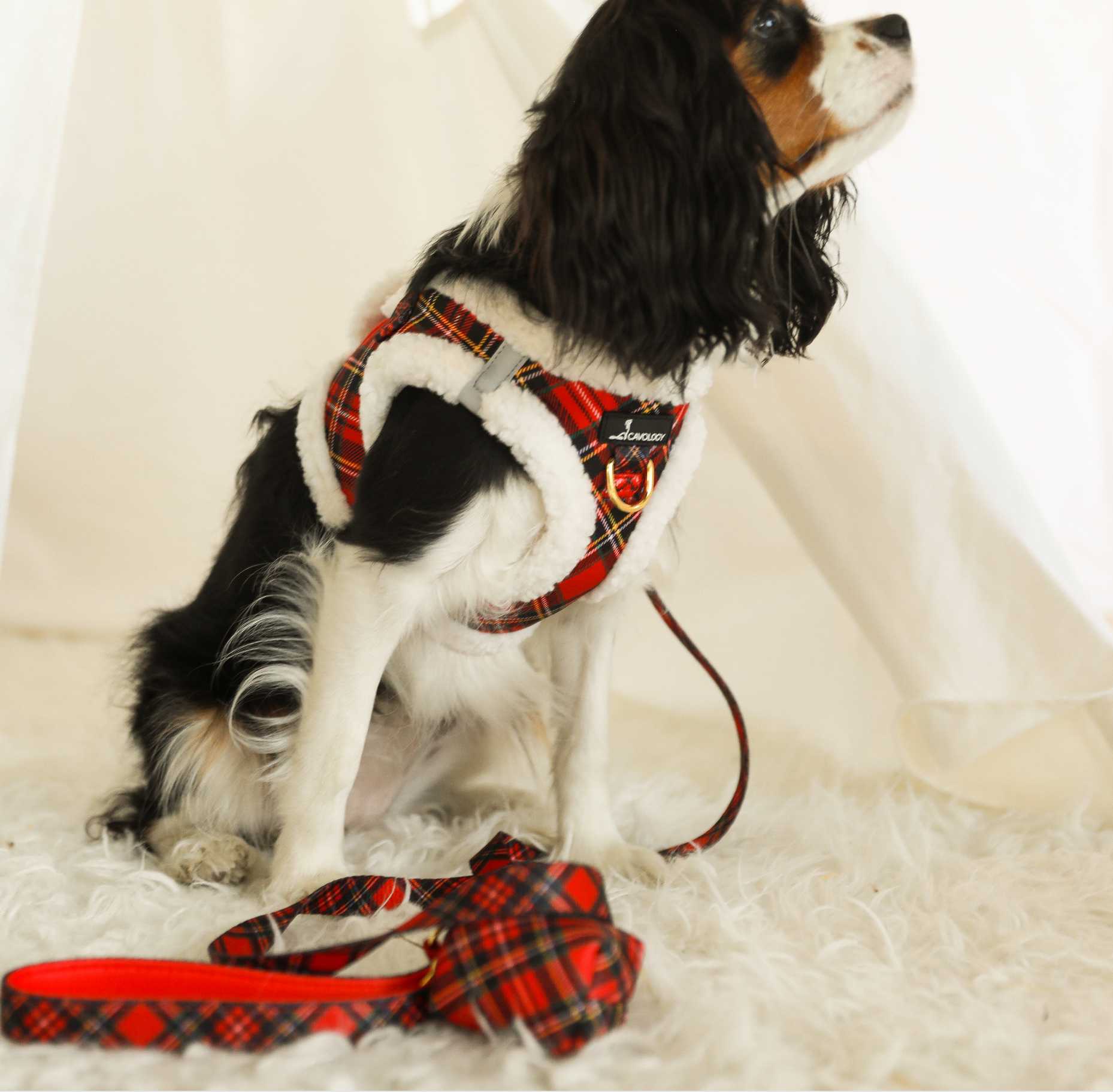 BUNDLE - Red Plaid Tartan Sherpa Winter Wonderland