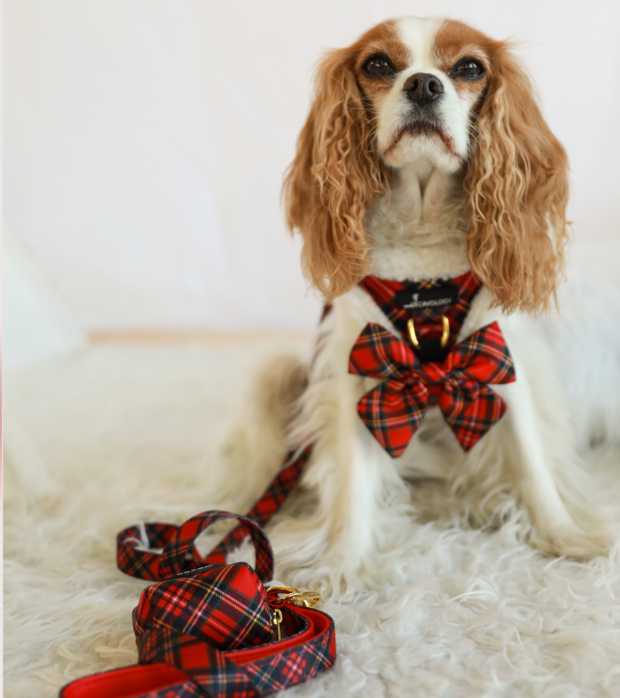 BOW - Red Plaid Tartan Winter Wonderland