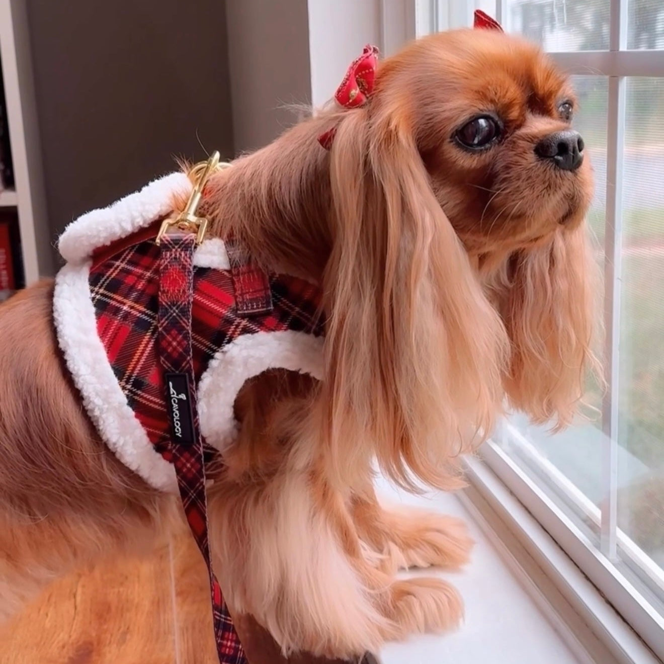 VEST STEP IN HARNESS - Red Plaid Tartan Sherpa Winter Wonderland