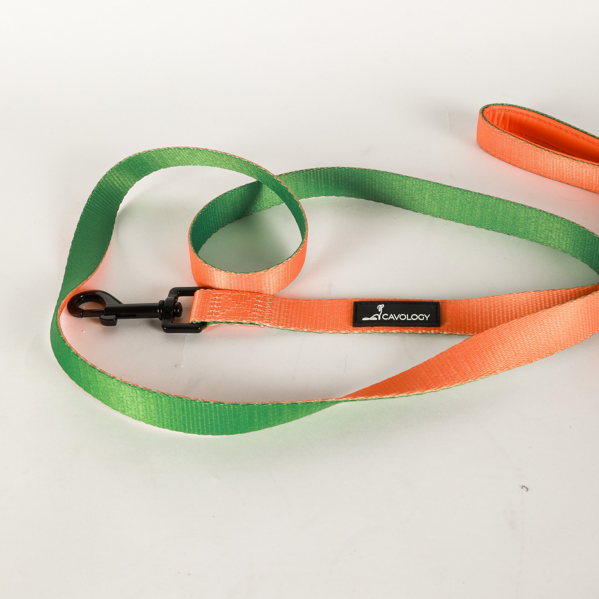 LEASH - Double Color Mango Orange Green