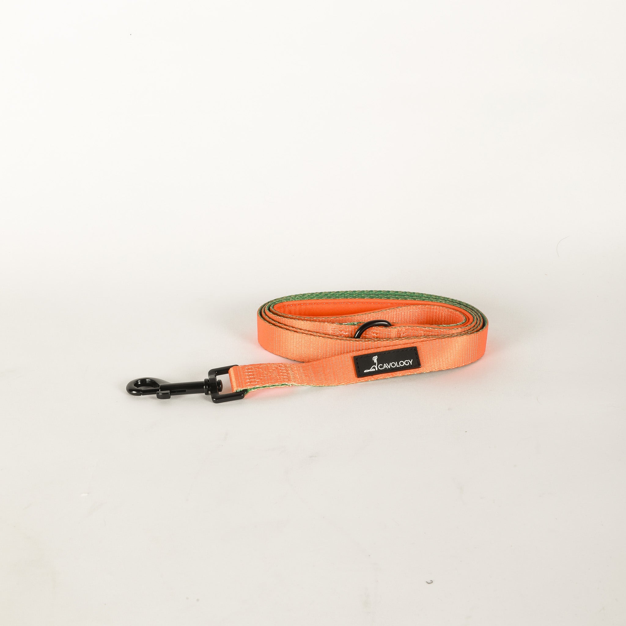 LEASH - Double Color Mango Orange Green