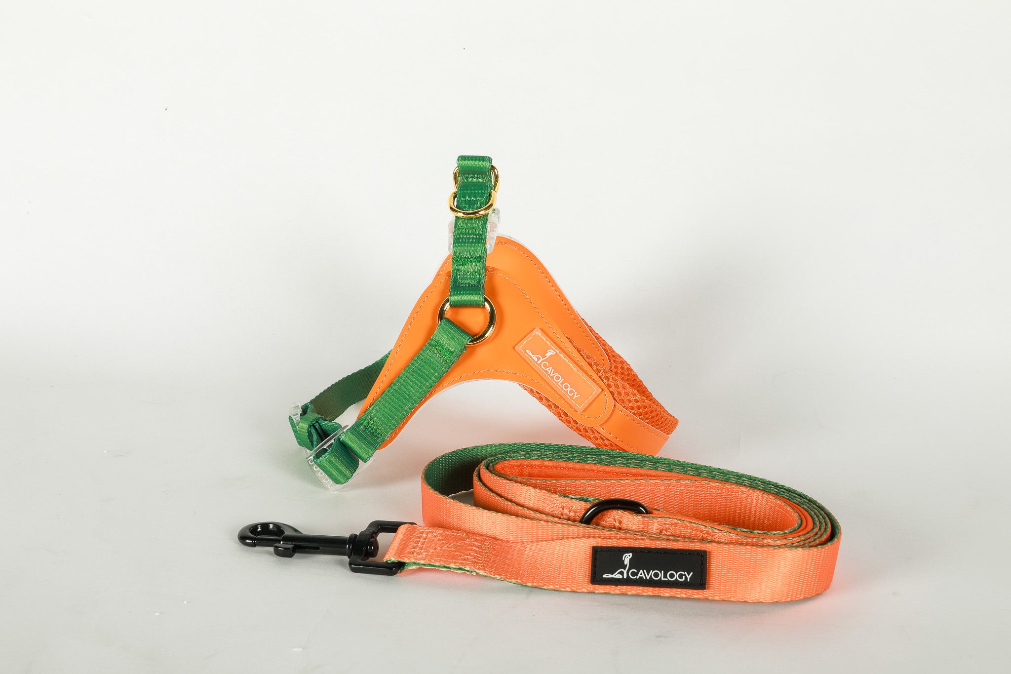 LEASH - Double Color Mango Orange Green