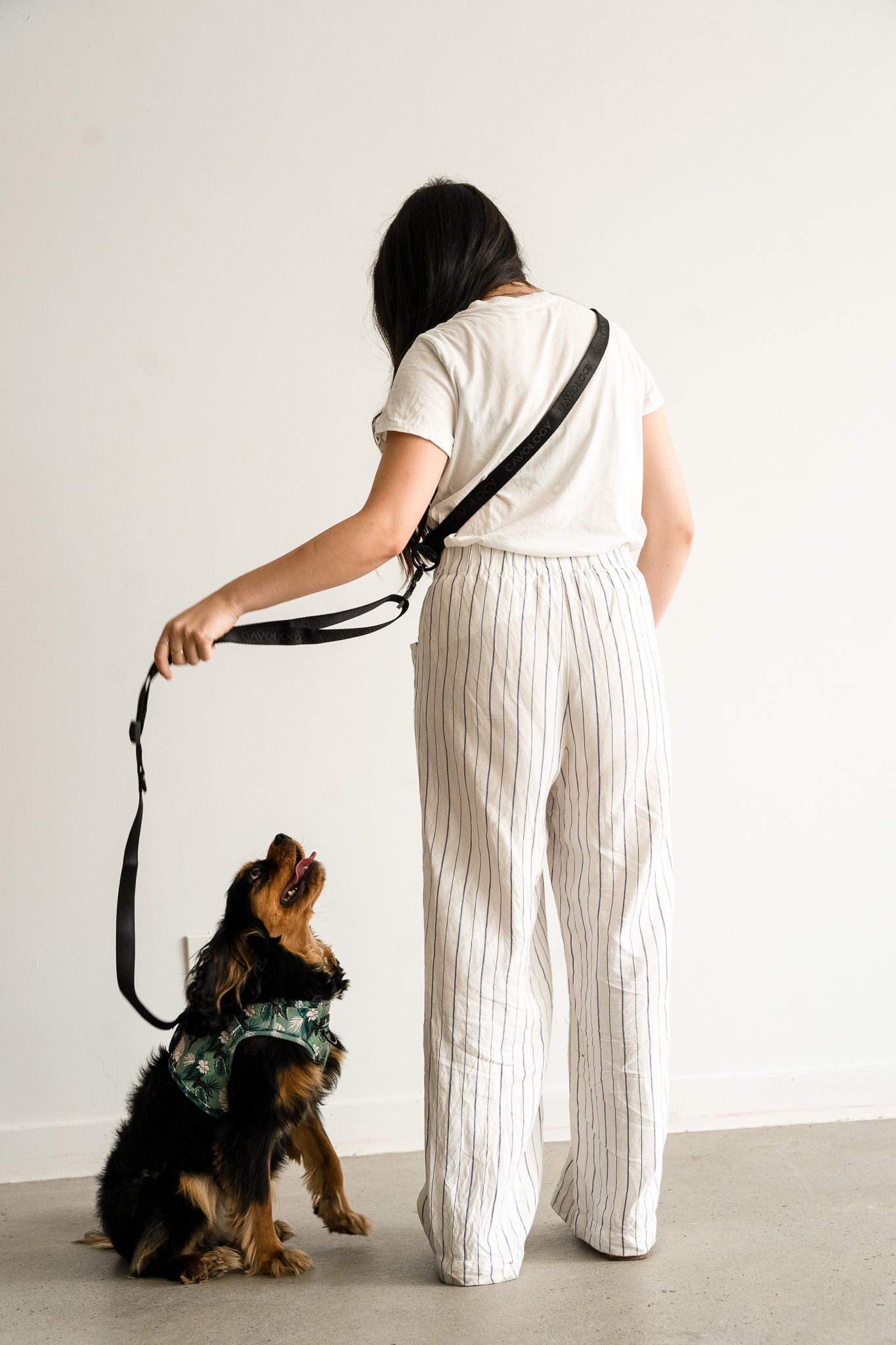 LEASH ATTACHMENT FOR HANDS FREE LEASH BLACK