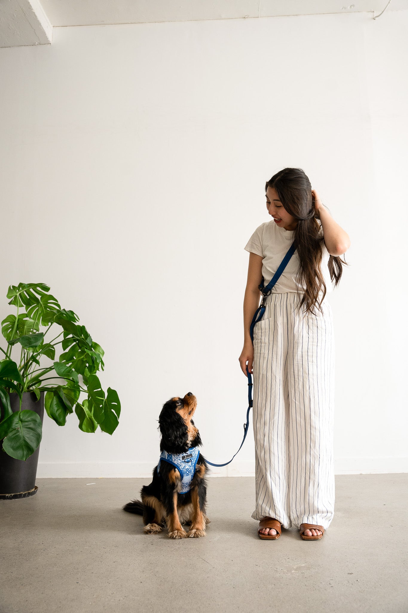 LEASH ATTACHMENT FOR HANDS FREE LEASH NAVY BLUE
