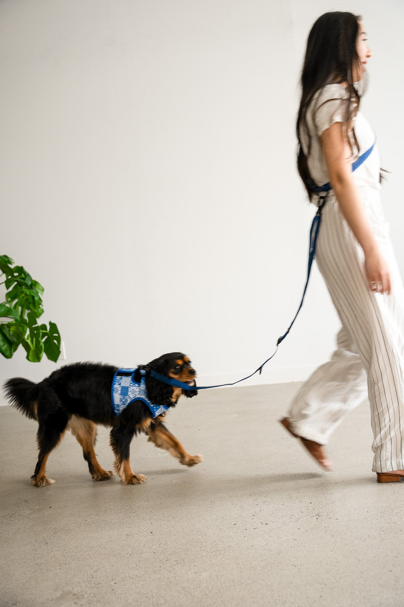 WAIST ATTACHMENT FOR HANDS FREE LEASH NAVY