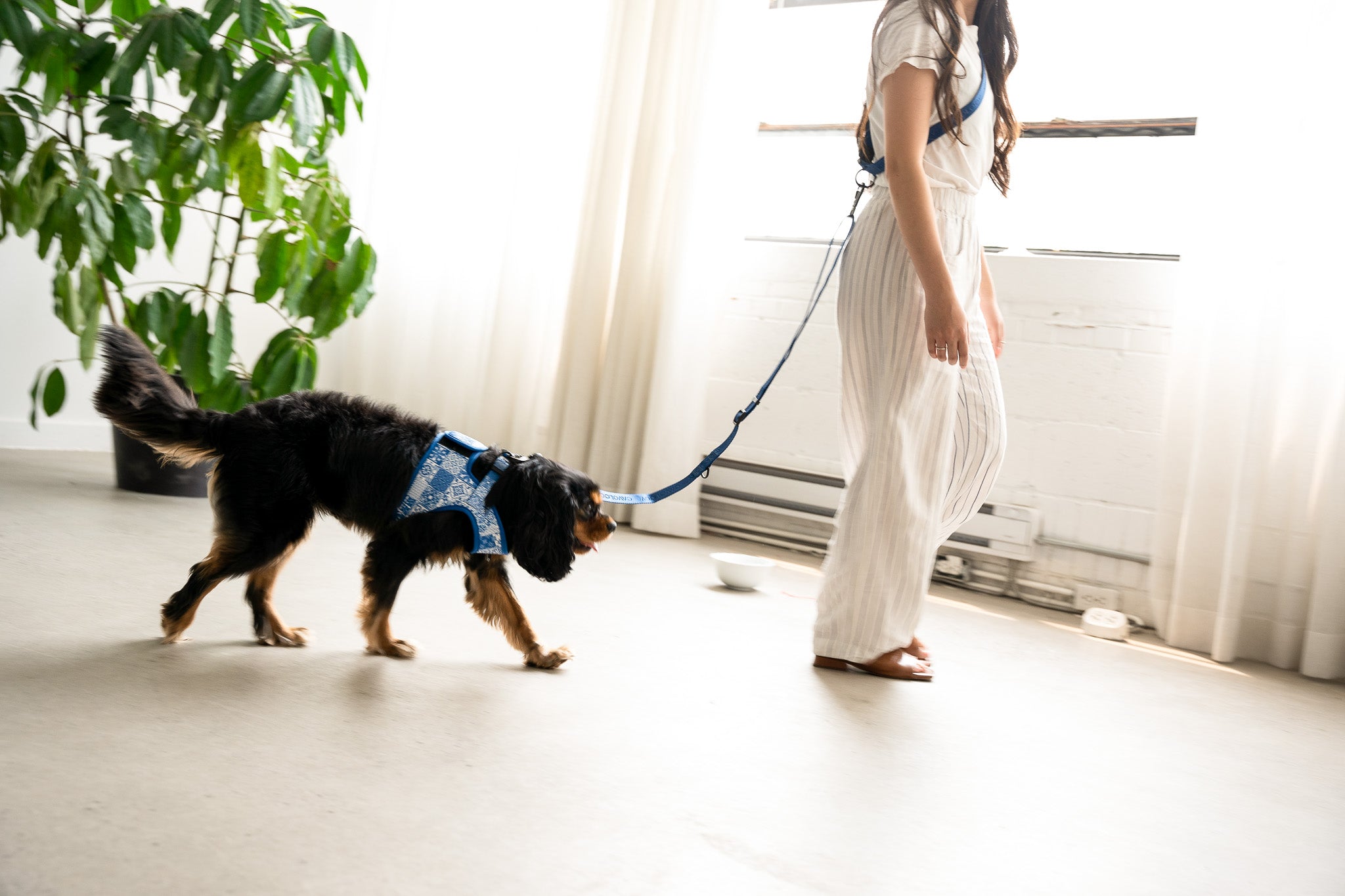WAIST ATTACHMENT FOR HANDS FREE LEASH NAVY