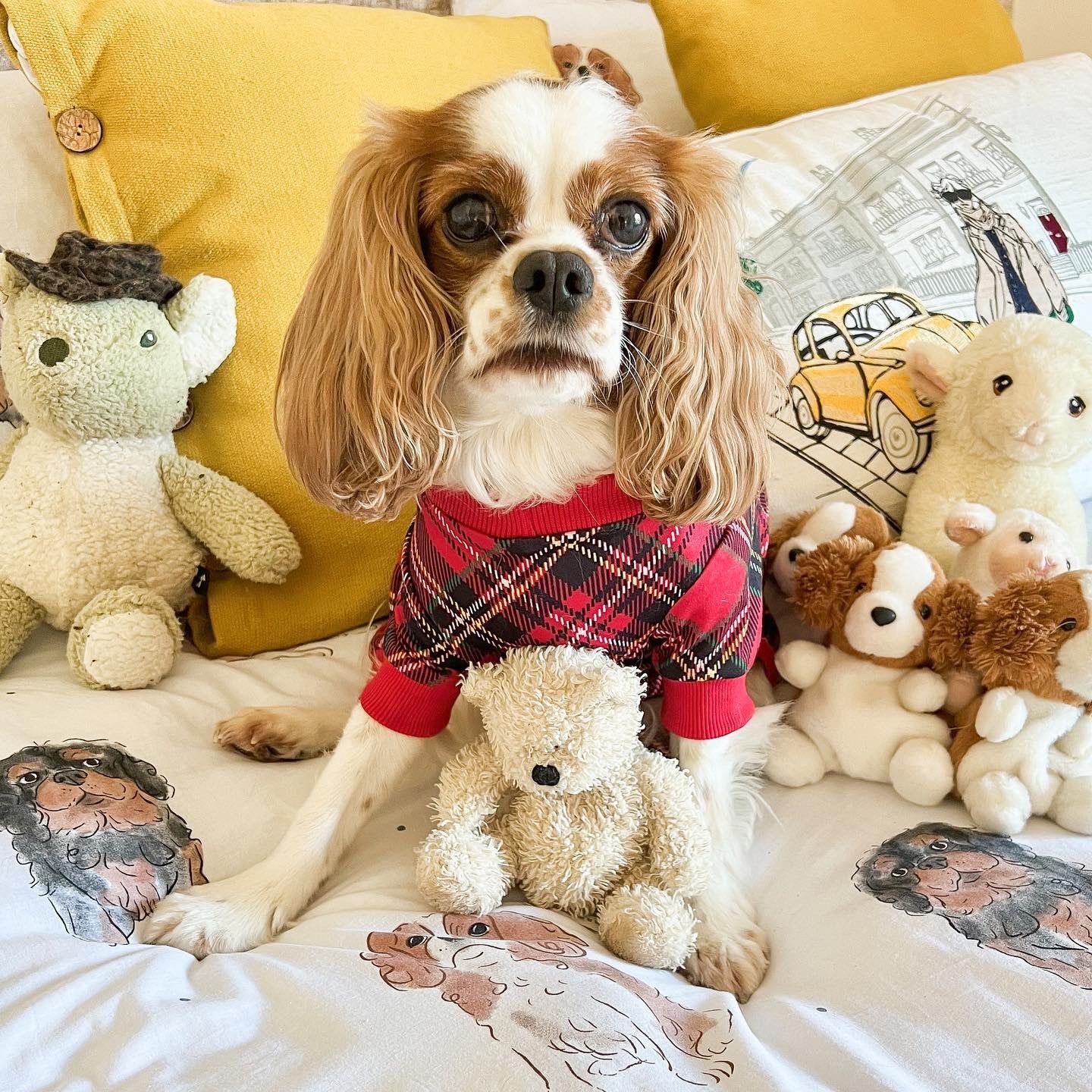 DOG PYJAMAS - Red Plaid Tartan Winter Wonderland