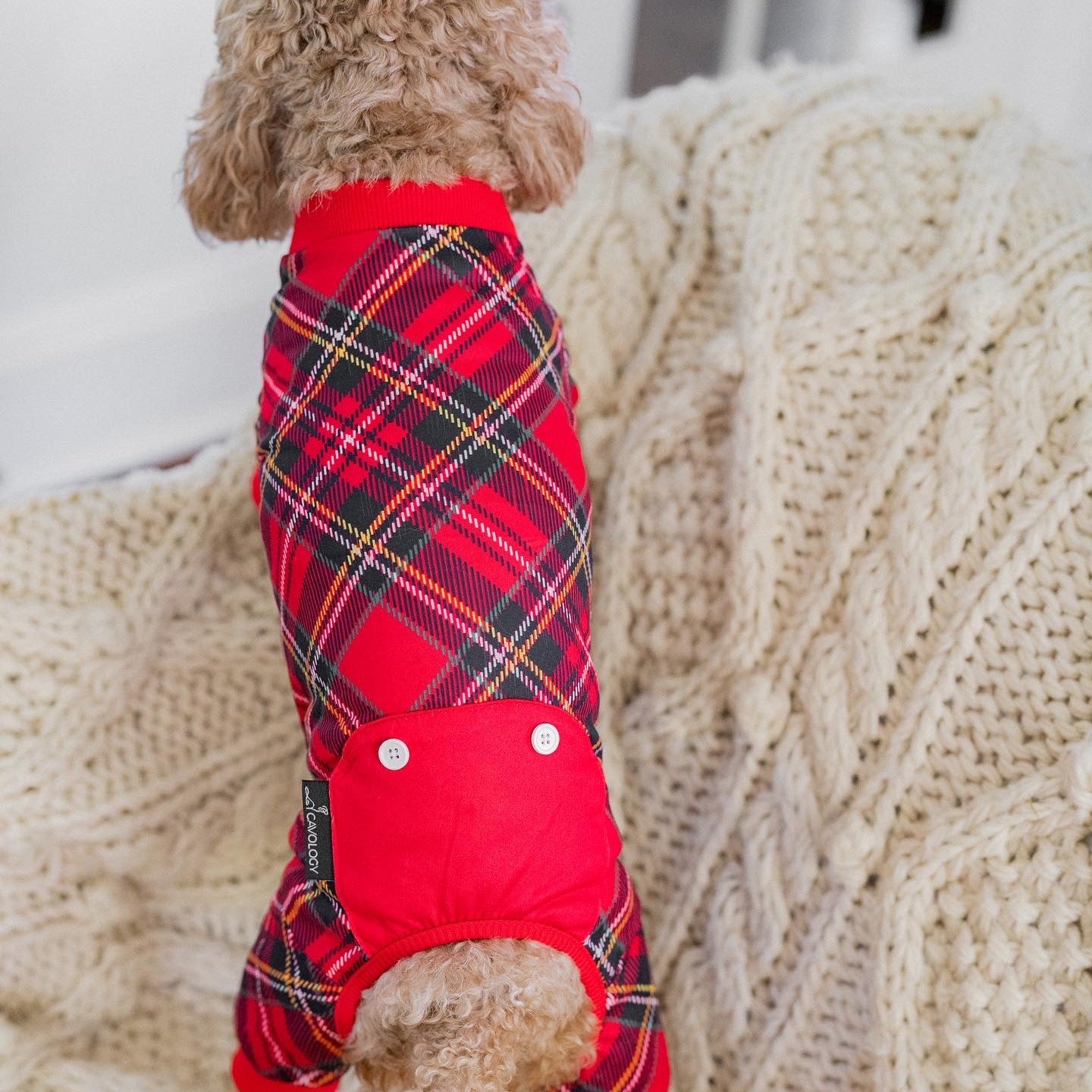 DOG PYJAMAS - Red Plaid Tartan Winter Wonderland