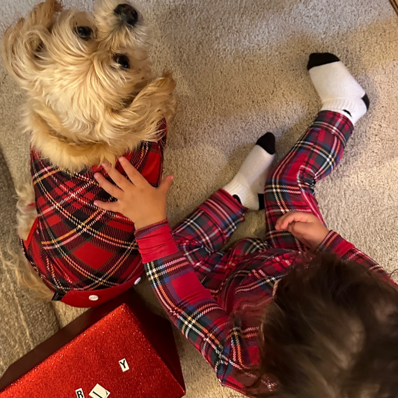 DOG PYJAMAS - Red Plaid Tartan Winter Wonderland