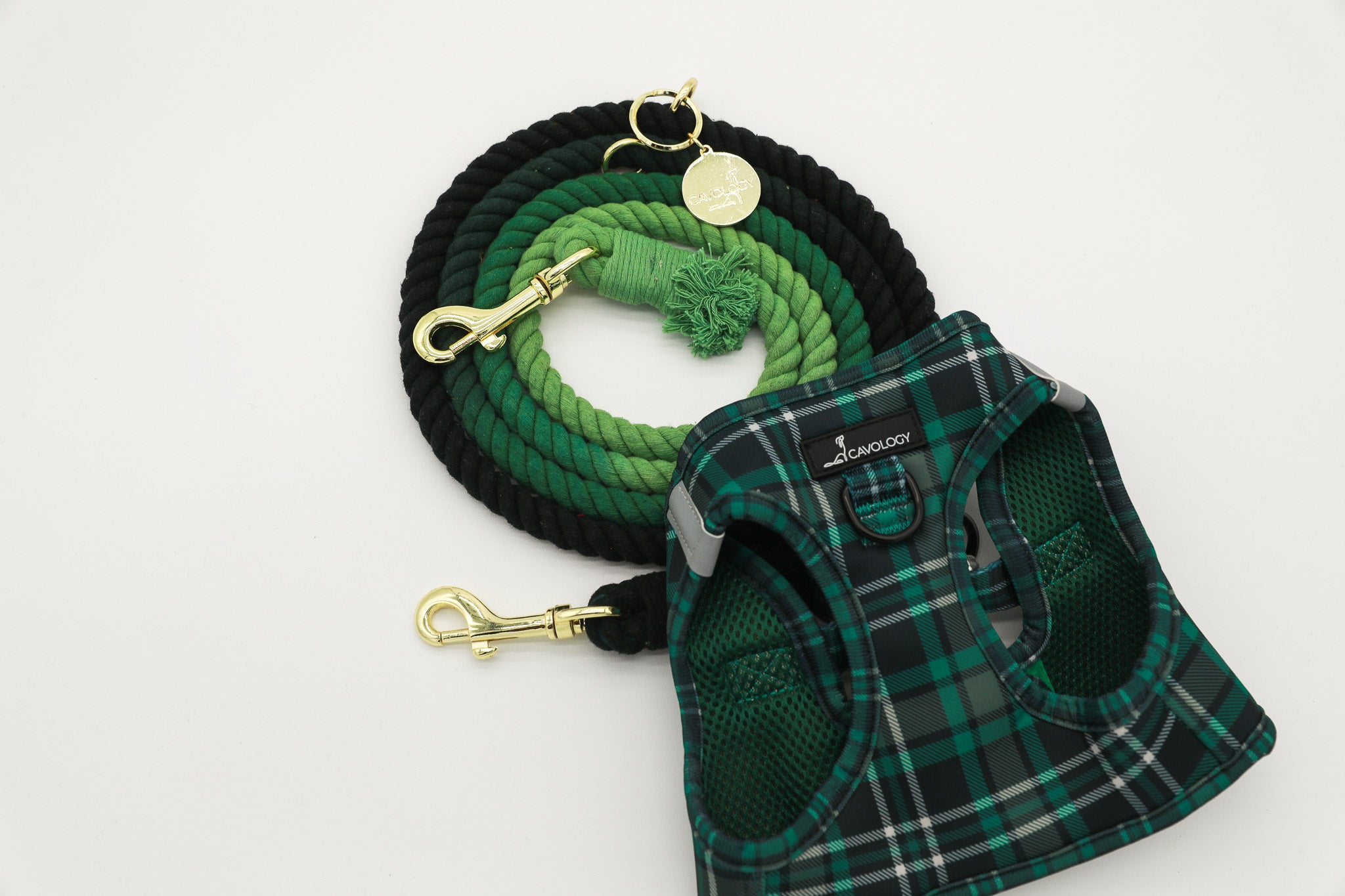 DOG ROPE LEASH HANDS FREE - Ombré Green Black