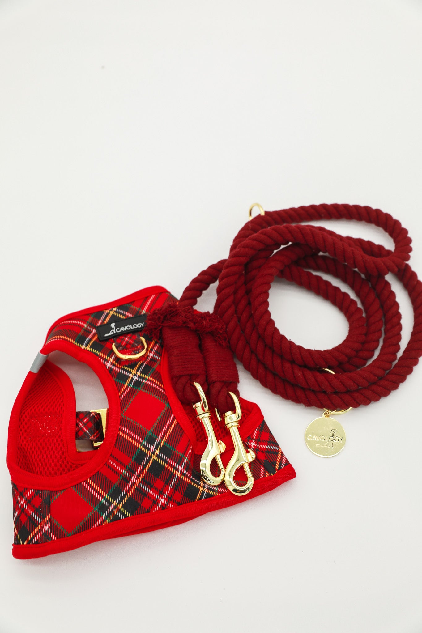 DOG ROPE LEASH HANDS FREE - Red Crimson