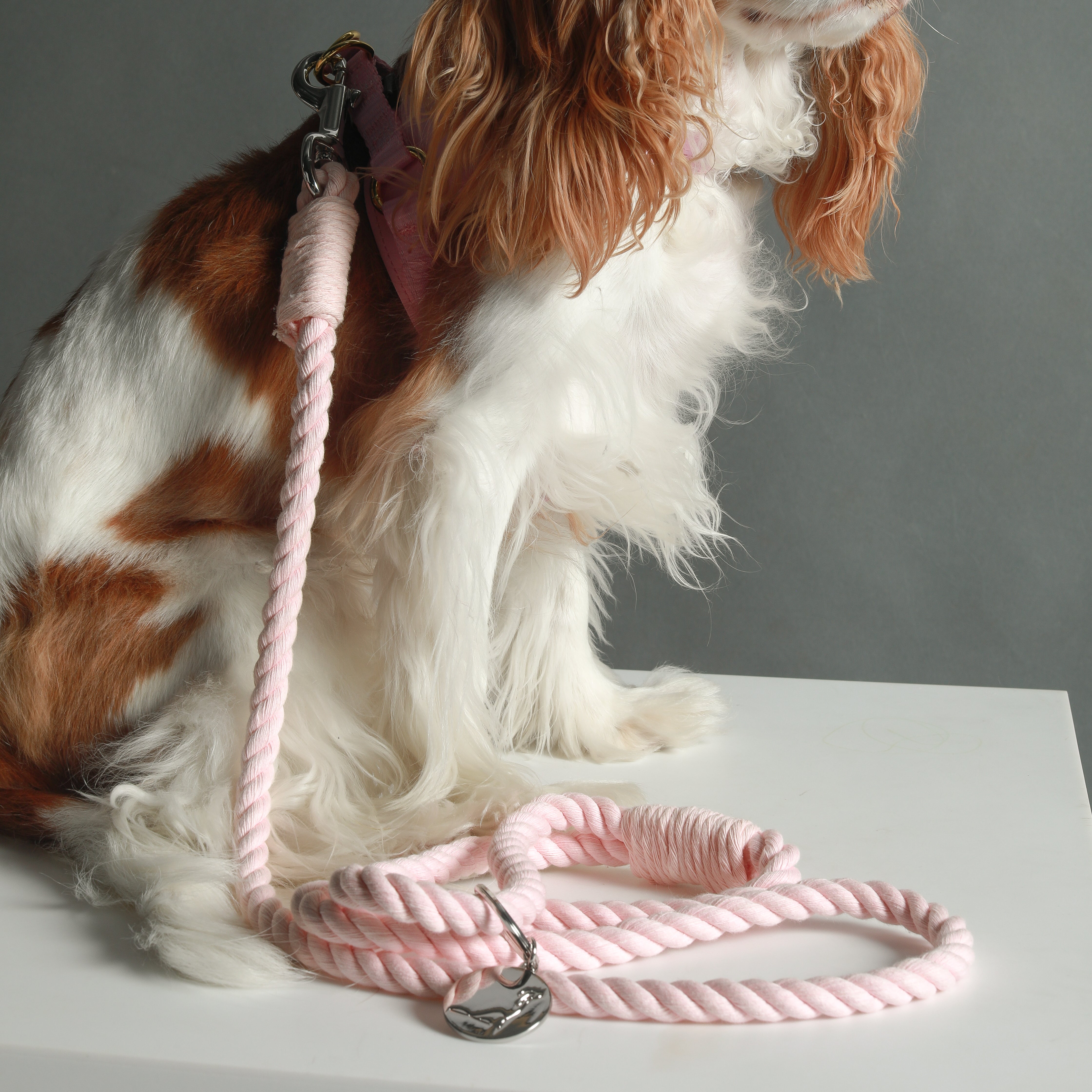 ROPE LEASH - Baby Pink