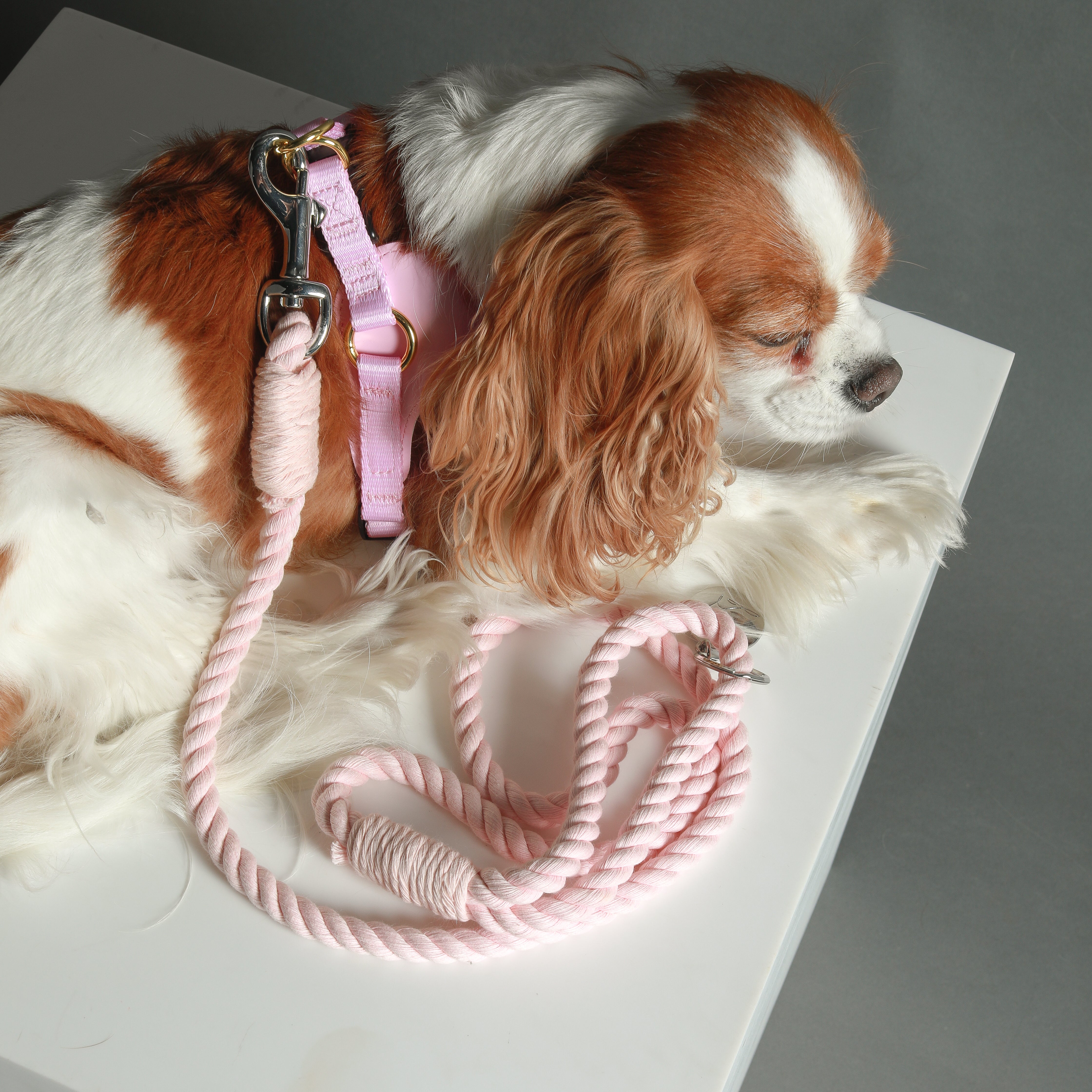 ROPE LEASH - Baby Pink