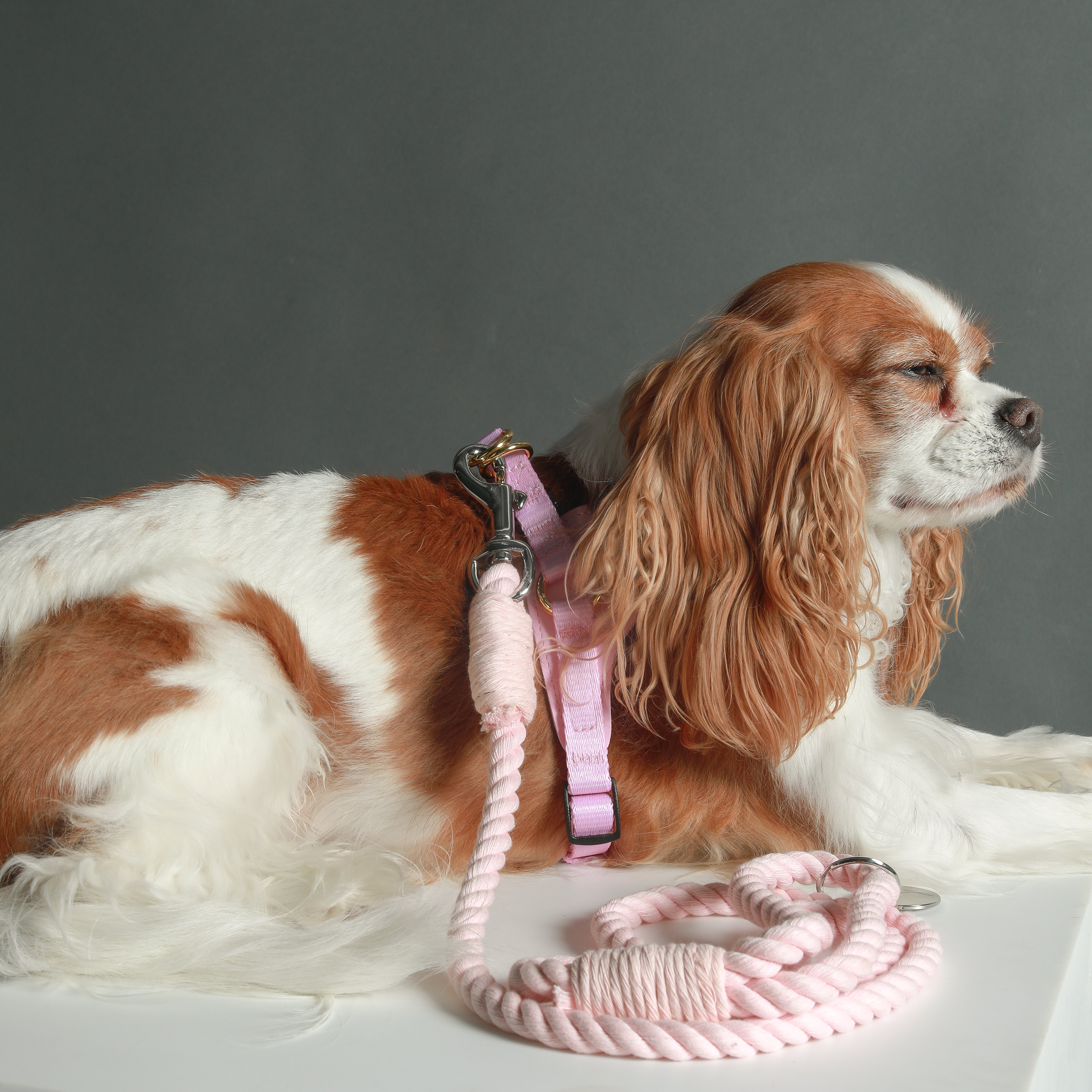ROPE LEASH - Baby Pink