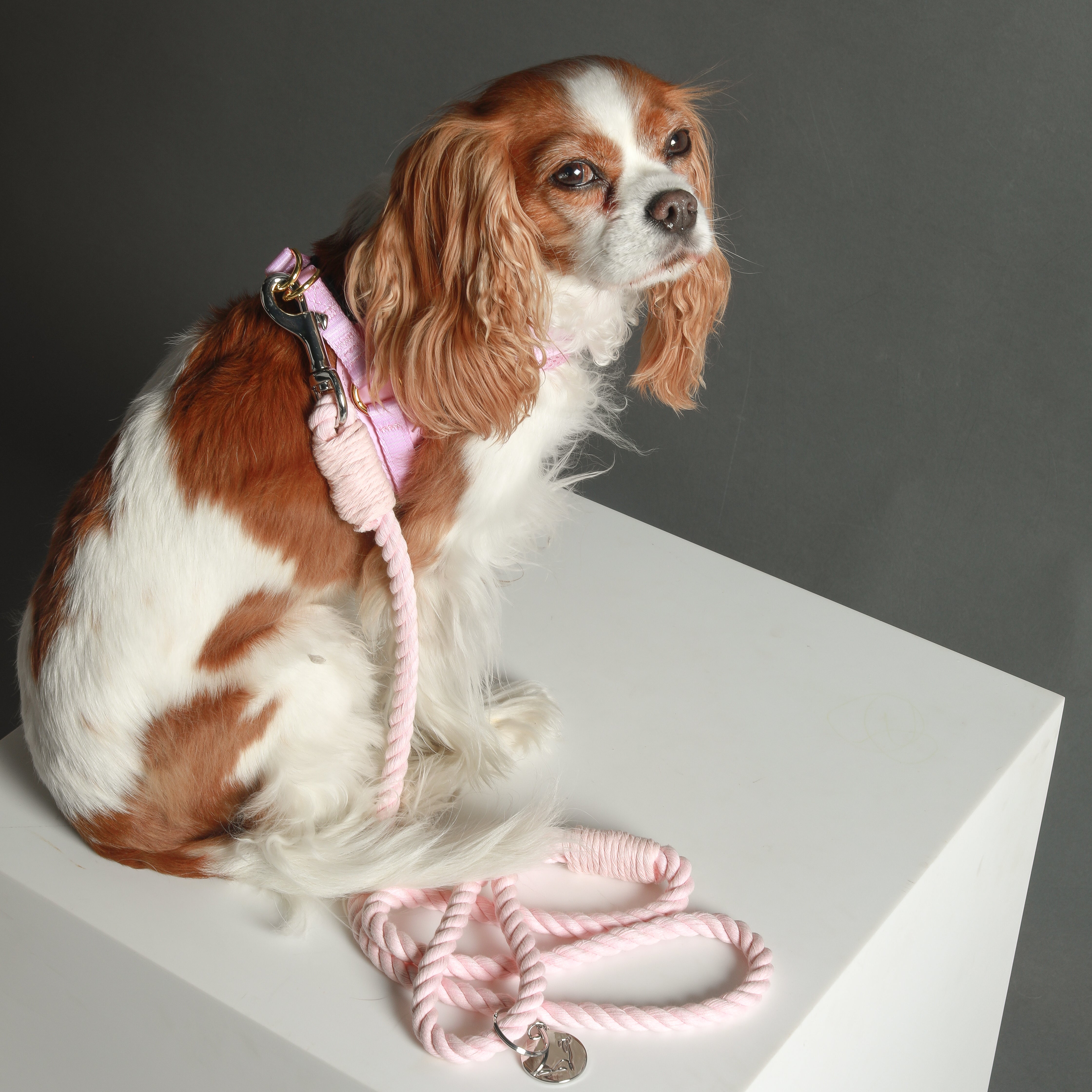 ROPE LEASH - Baby Pink