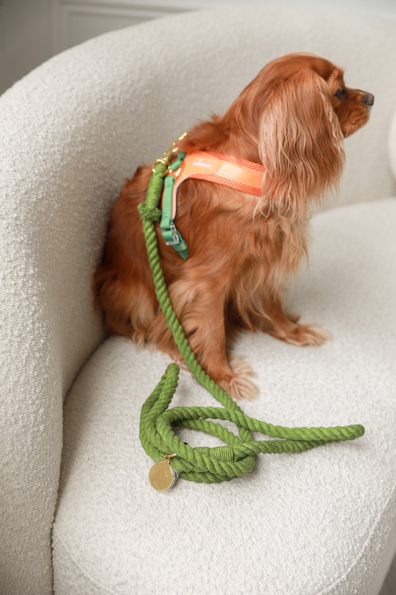 ROPE LEASH - Leaf Green