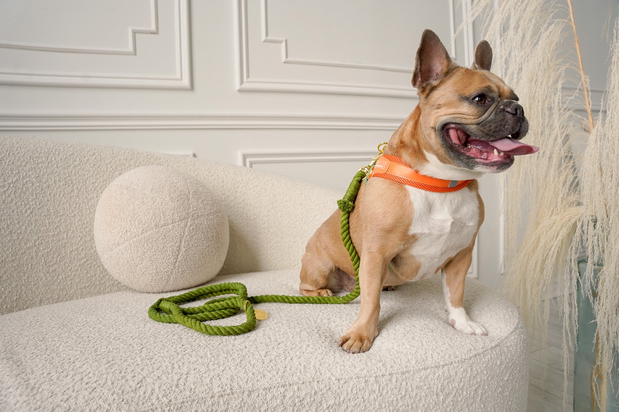 ROPE LEASH - Leaf Green