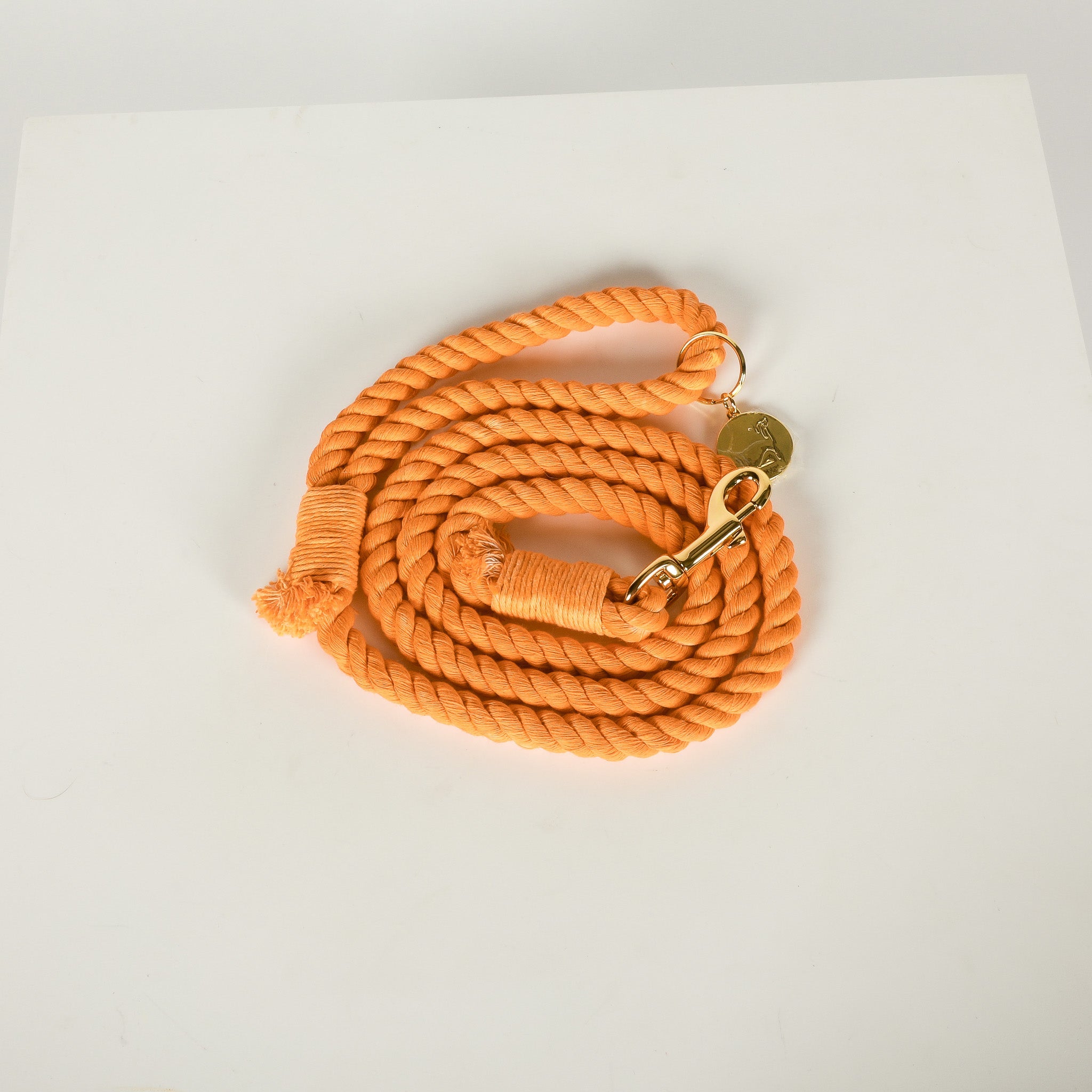 *SURPRISE COTTON ROPE LEASH*