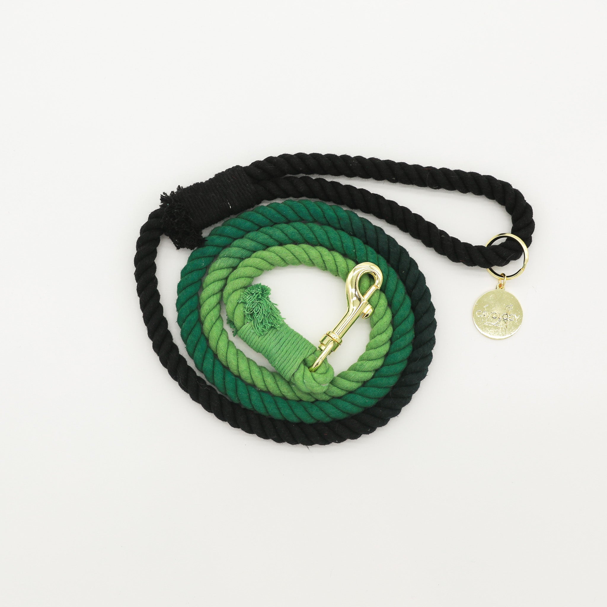 DOG ROPE LEASH - Ombré Green Black