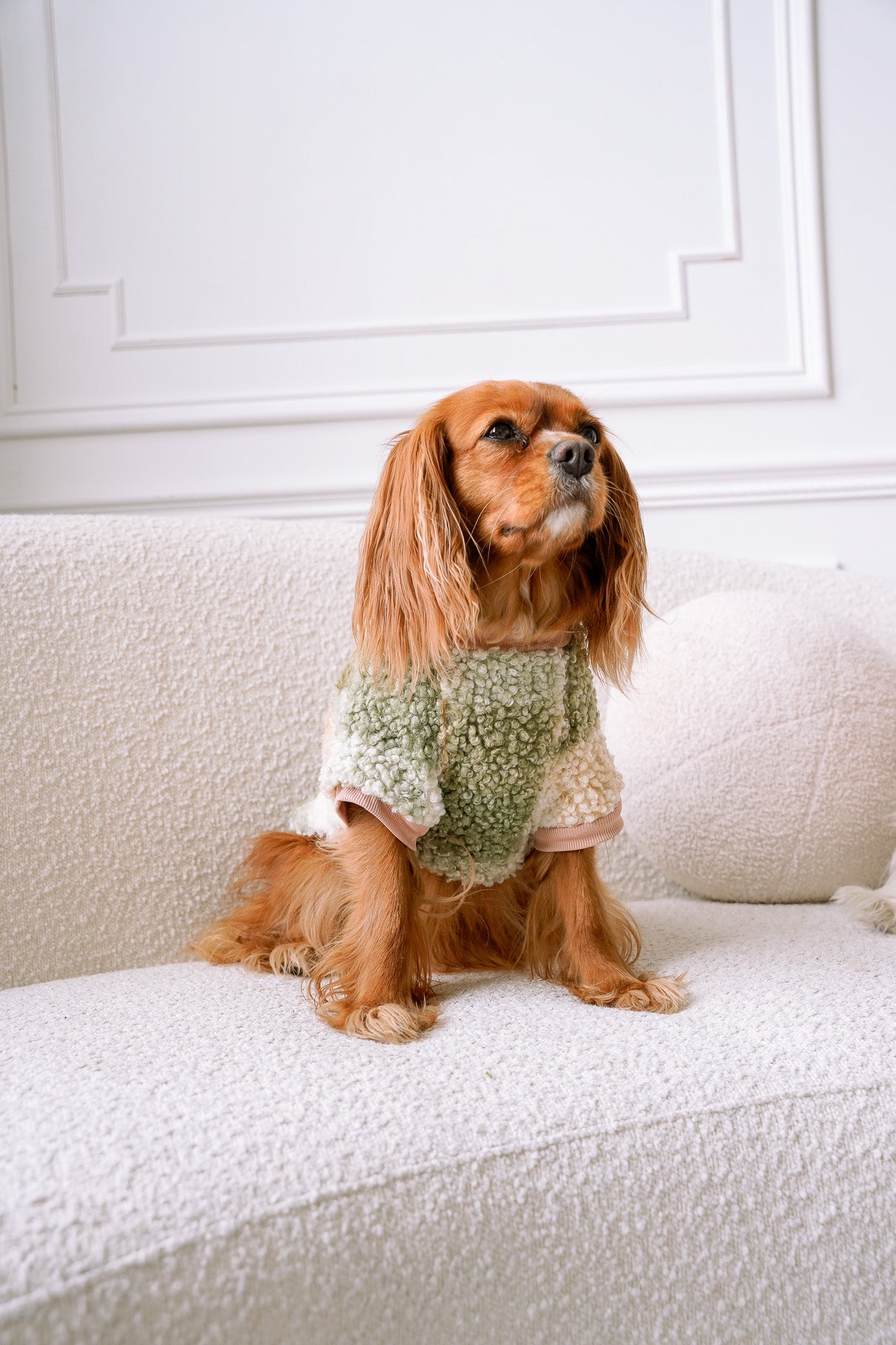 DOG BOUCLÉ SWEATER - Green Plaid