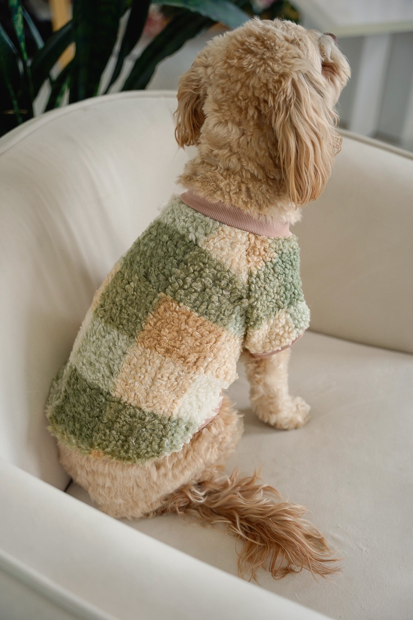 DOG BOUCLÉ SWEATER - Green Plaid