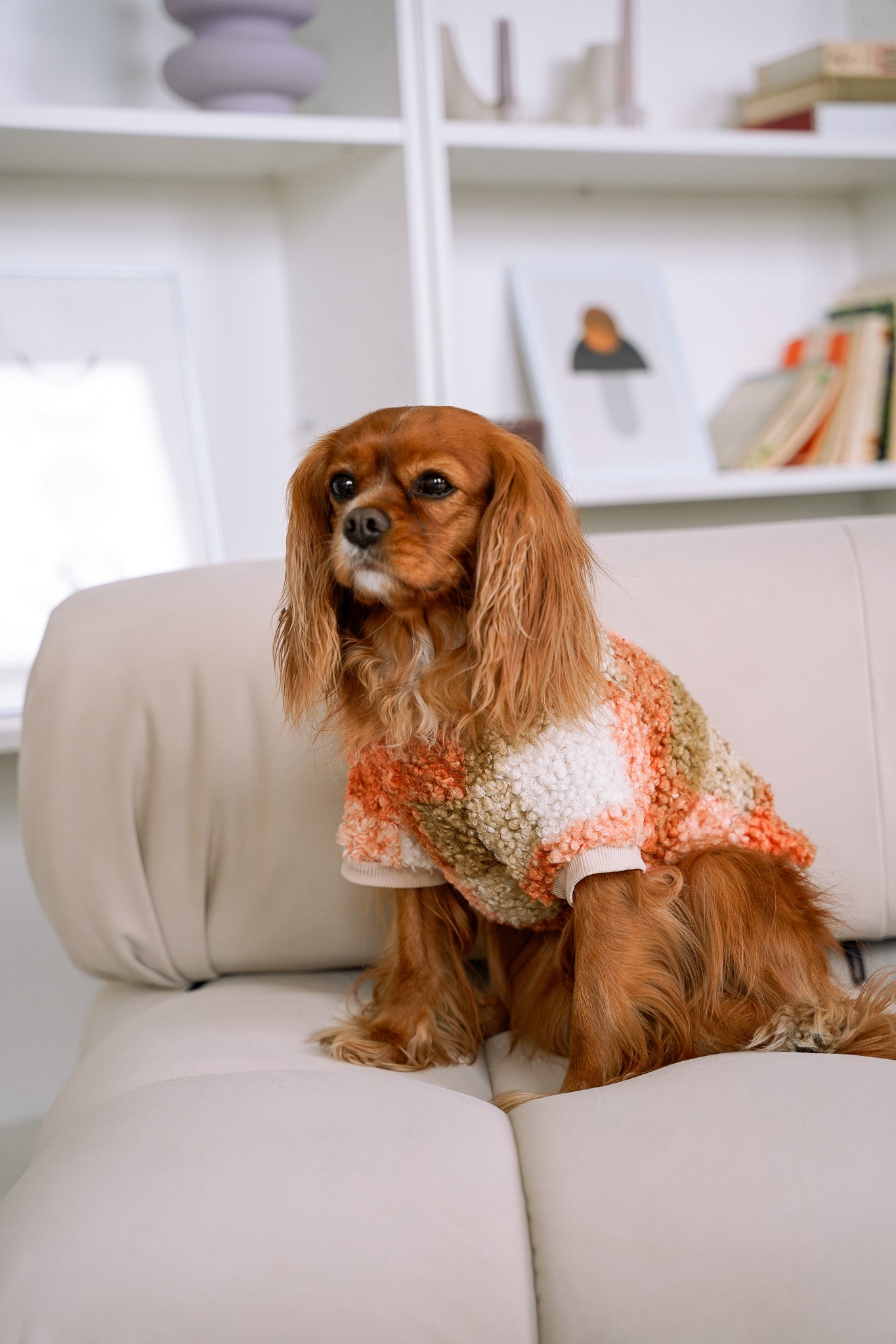 DOG BOUCLÉ SWEATER - Orange Plaid