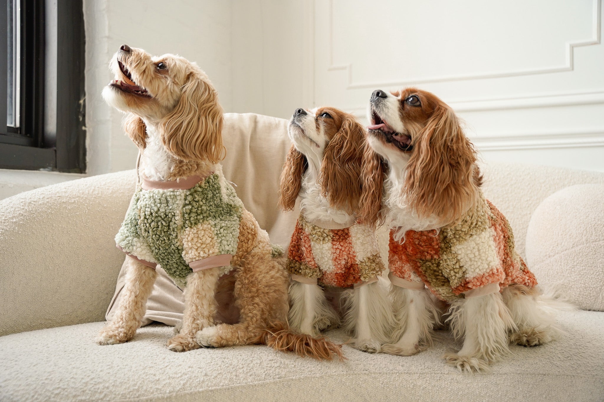 DOG BOUCLÉ SWEATER - Green Plaid