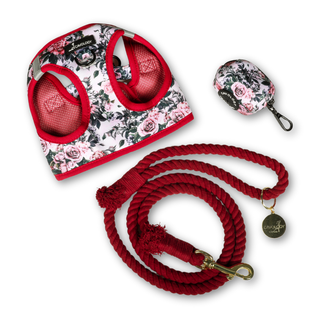 ROPE LEASH BUNDLE - Autumn Roses