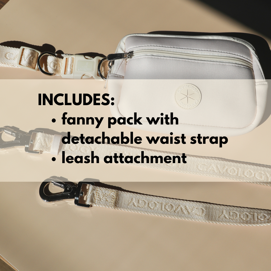 DOG WALKING BAG HANDS FREE 4-in-1 GREY