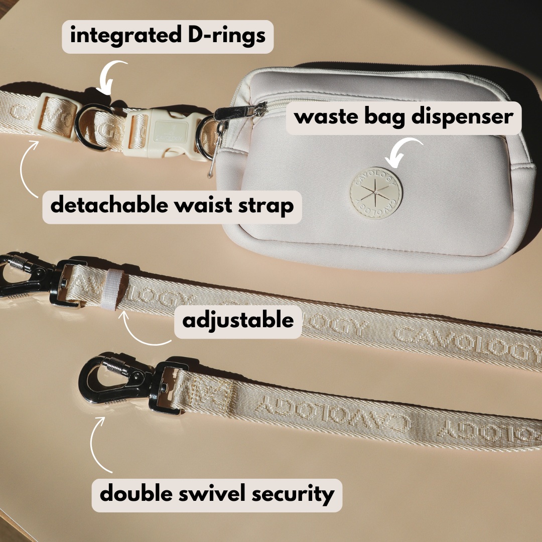 DOG WALKING BAG HANDS FREE 4-in-1 GREY