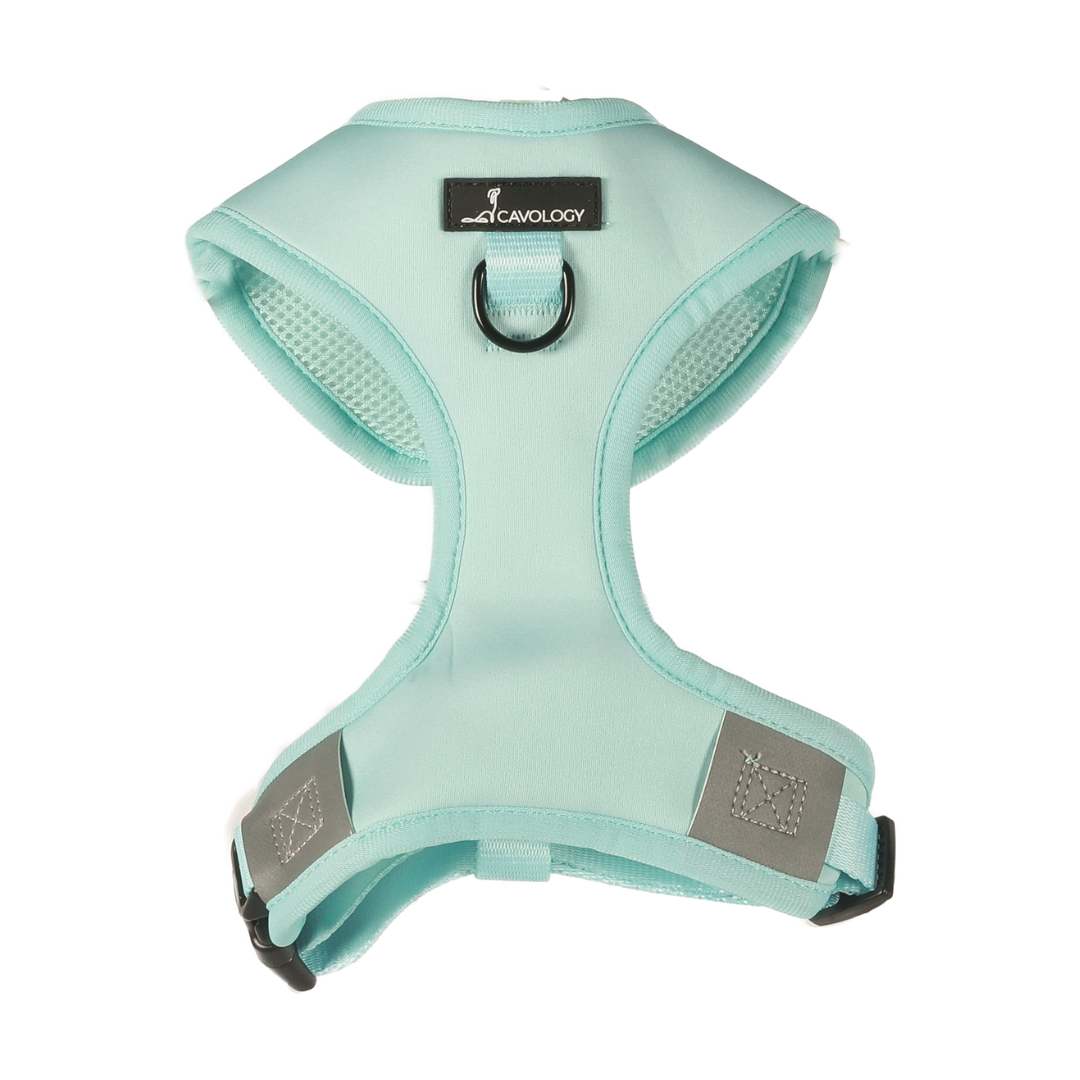 ADJUSTABLE HARNESS - Light Blue